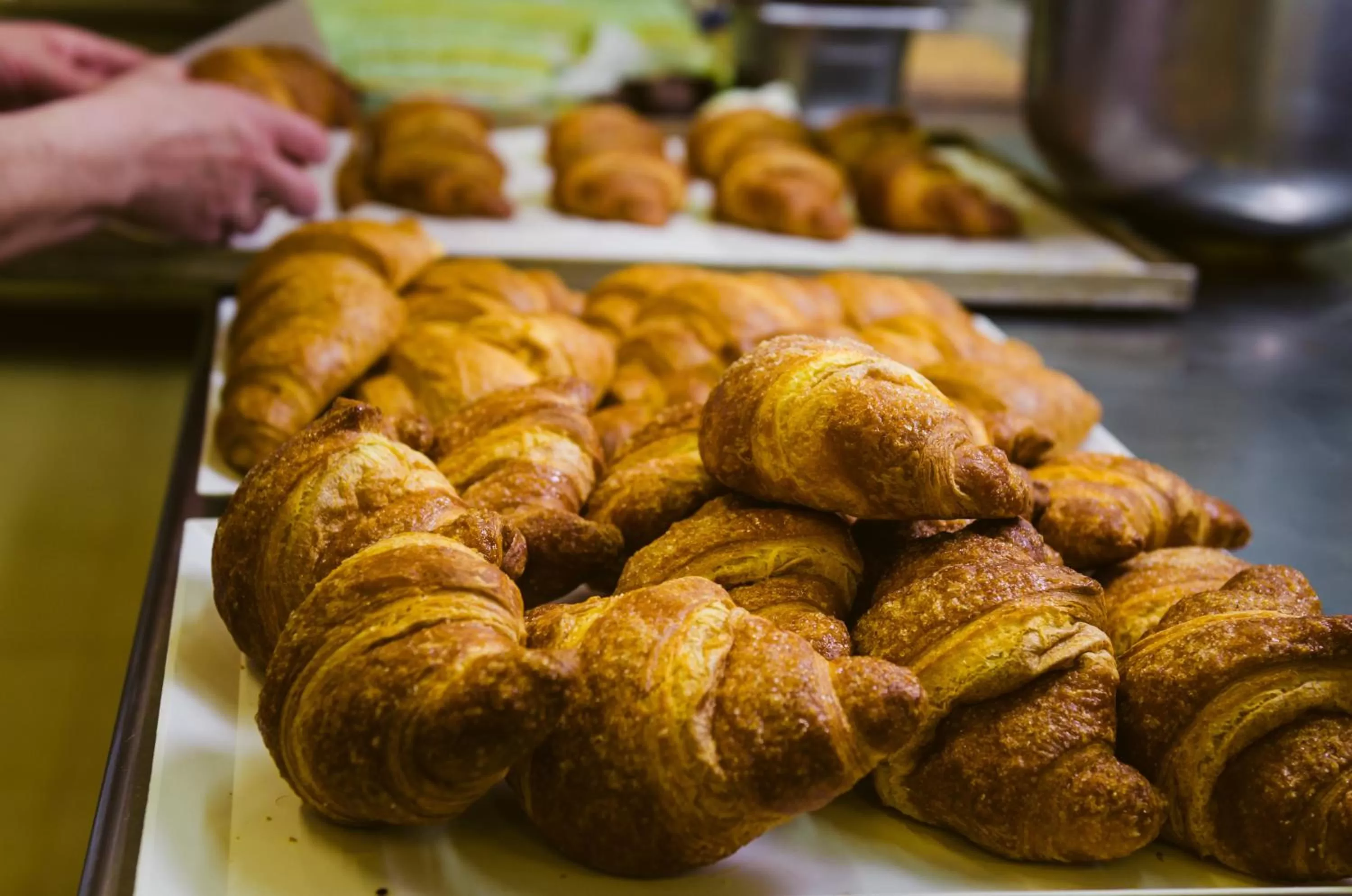 Restaurant/places to eat in Hotel Calaluna