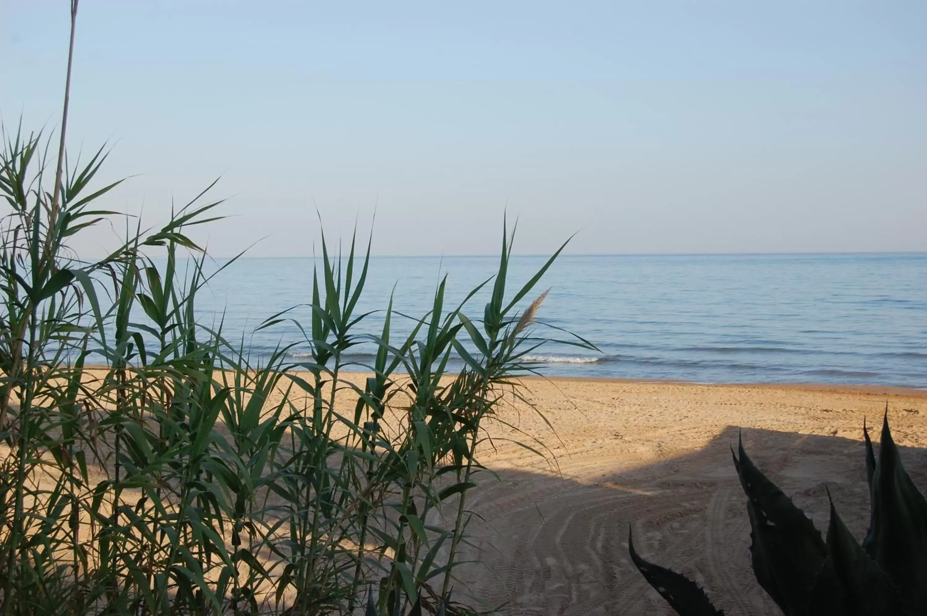 Beach in B&B Bianco E Blu