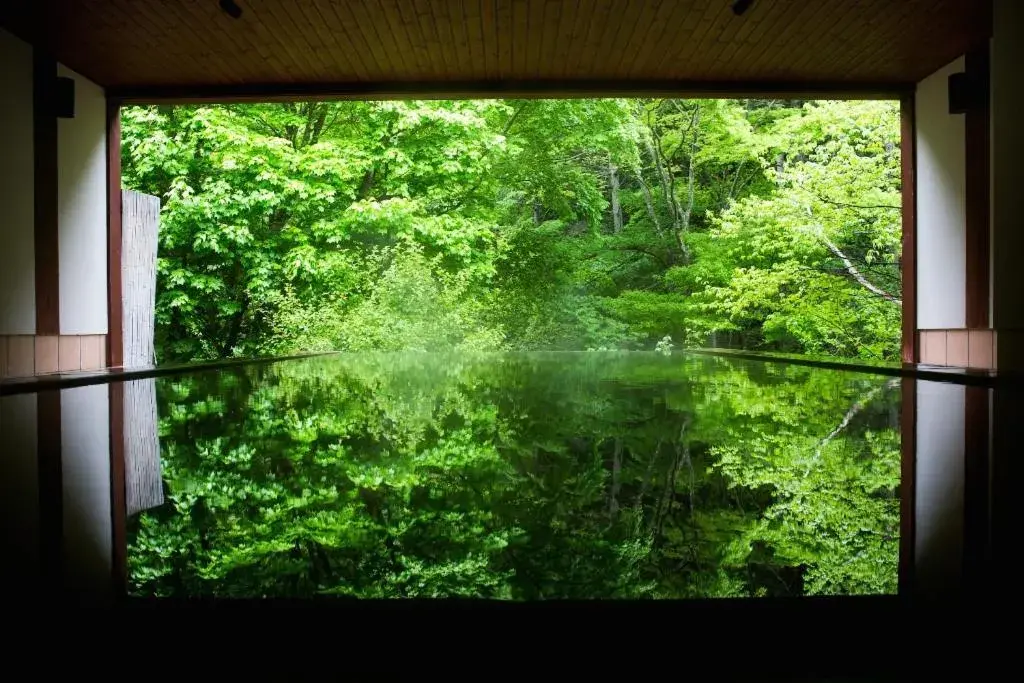 Hot Spring Bath in Myojinkan Ryokan