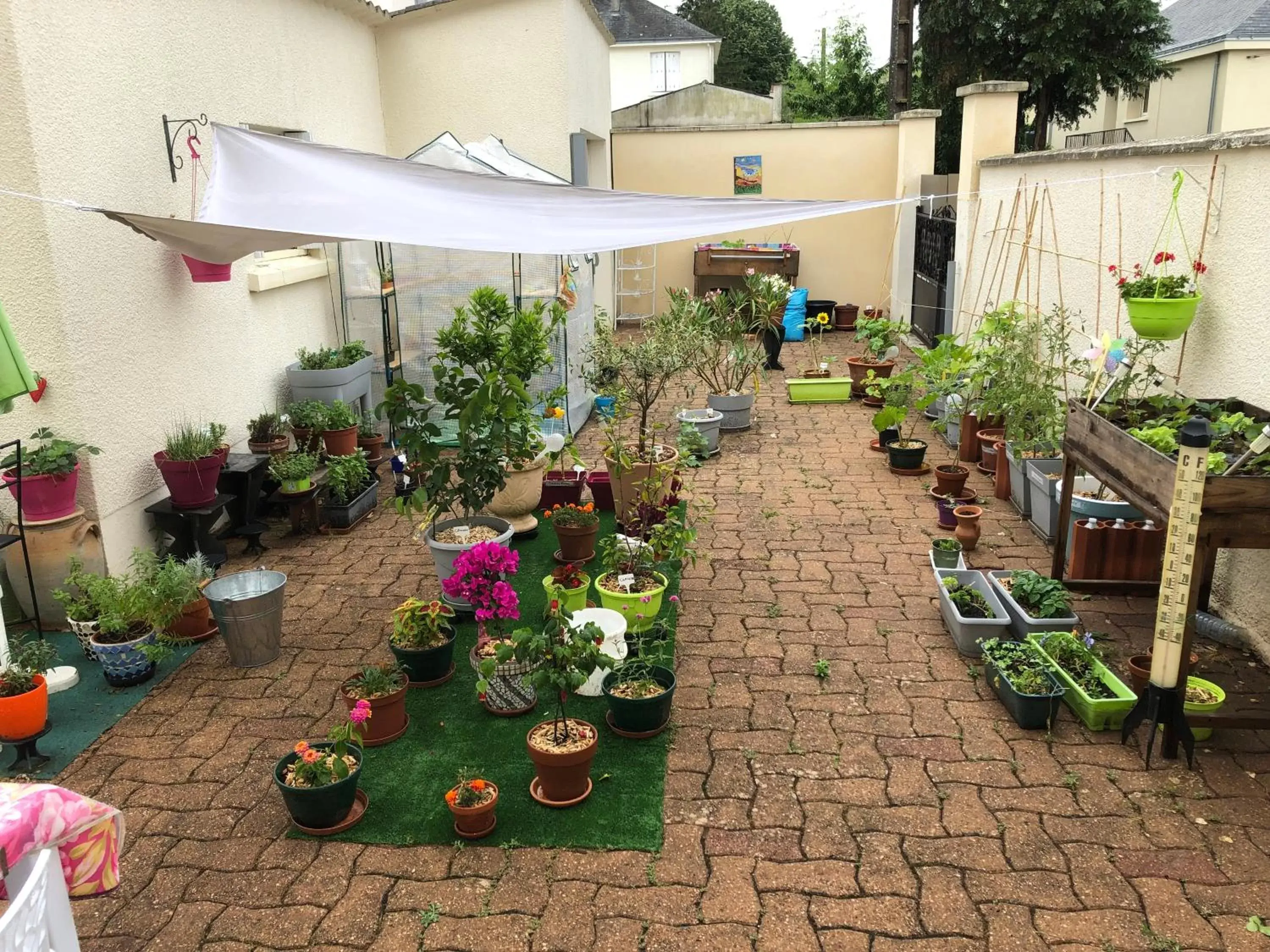 Inner courtyard view in « Chez Annie »