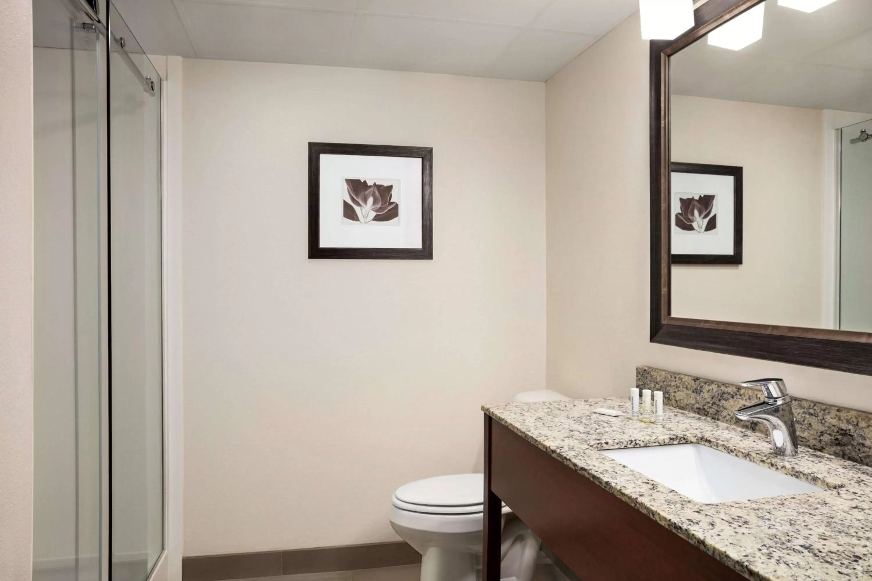 TV and multimedia in AmericInn by Wyndham Baudette