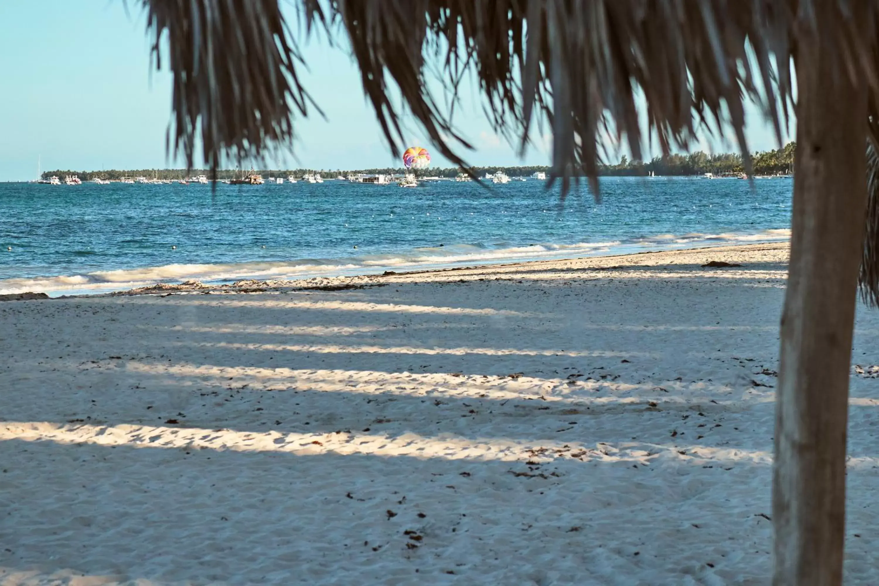 Natural landscape, Beach in Flor del Mar Condo Punta Cana Beachfront