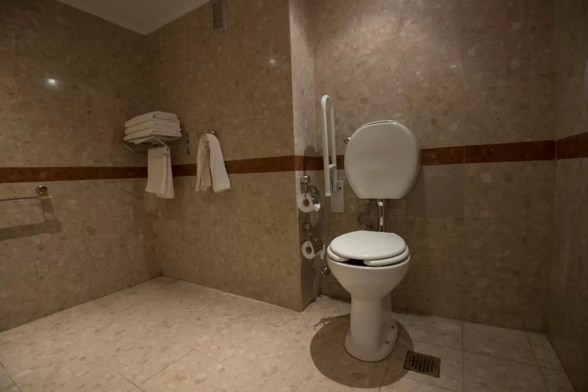 Photo of the whole room, Bathroom in Holiday Inn Cordoba, an IHG Hotel