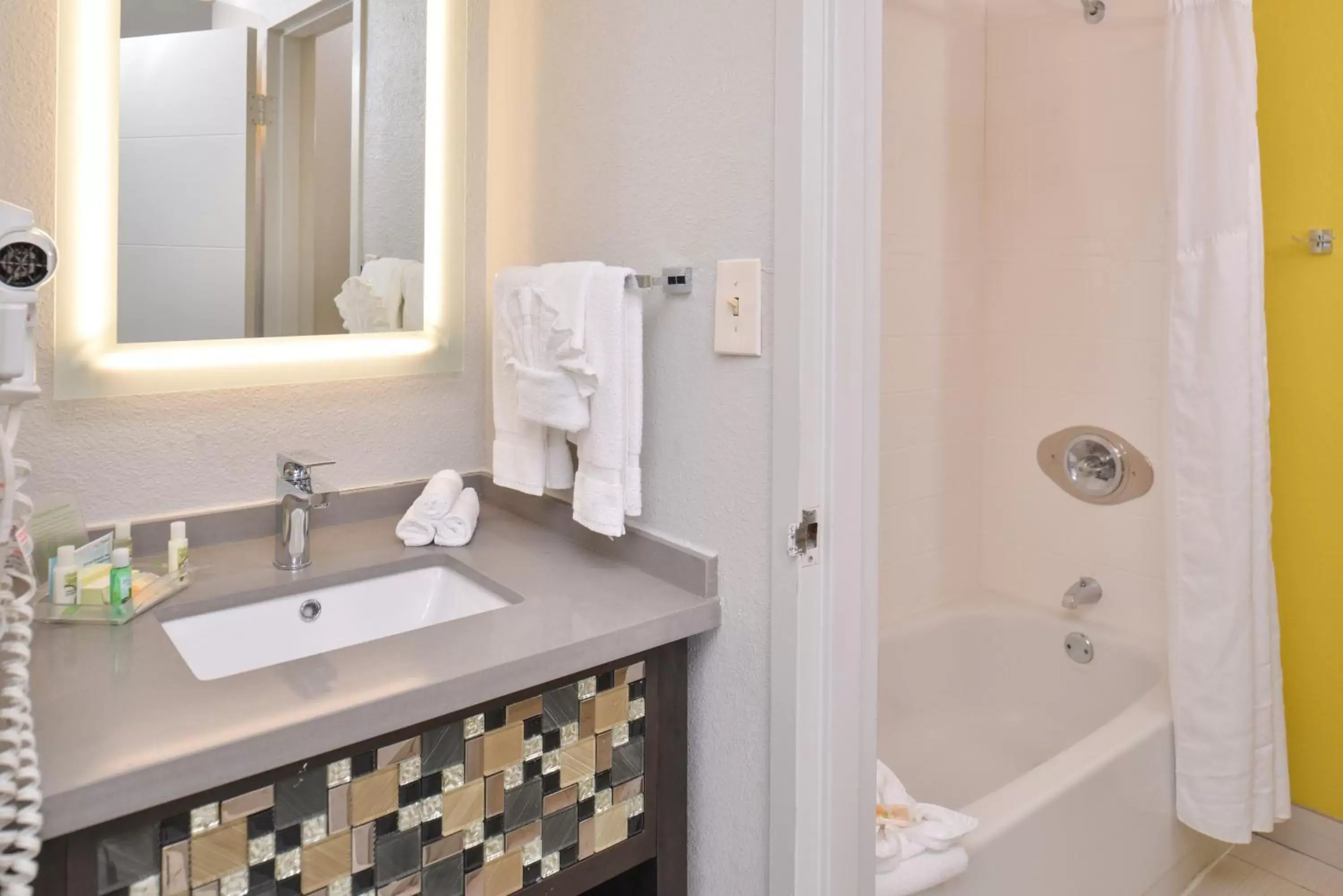 Bathroom in Holiday Inn Richardson, an IHG Hotel