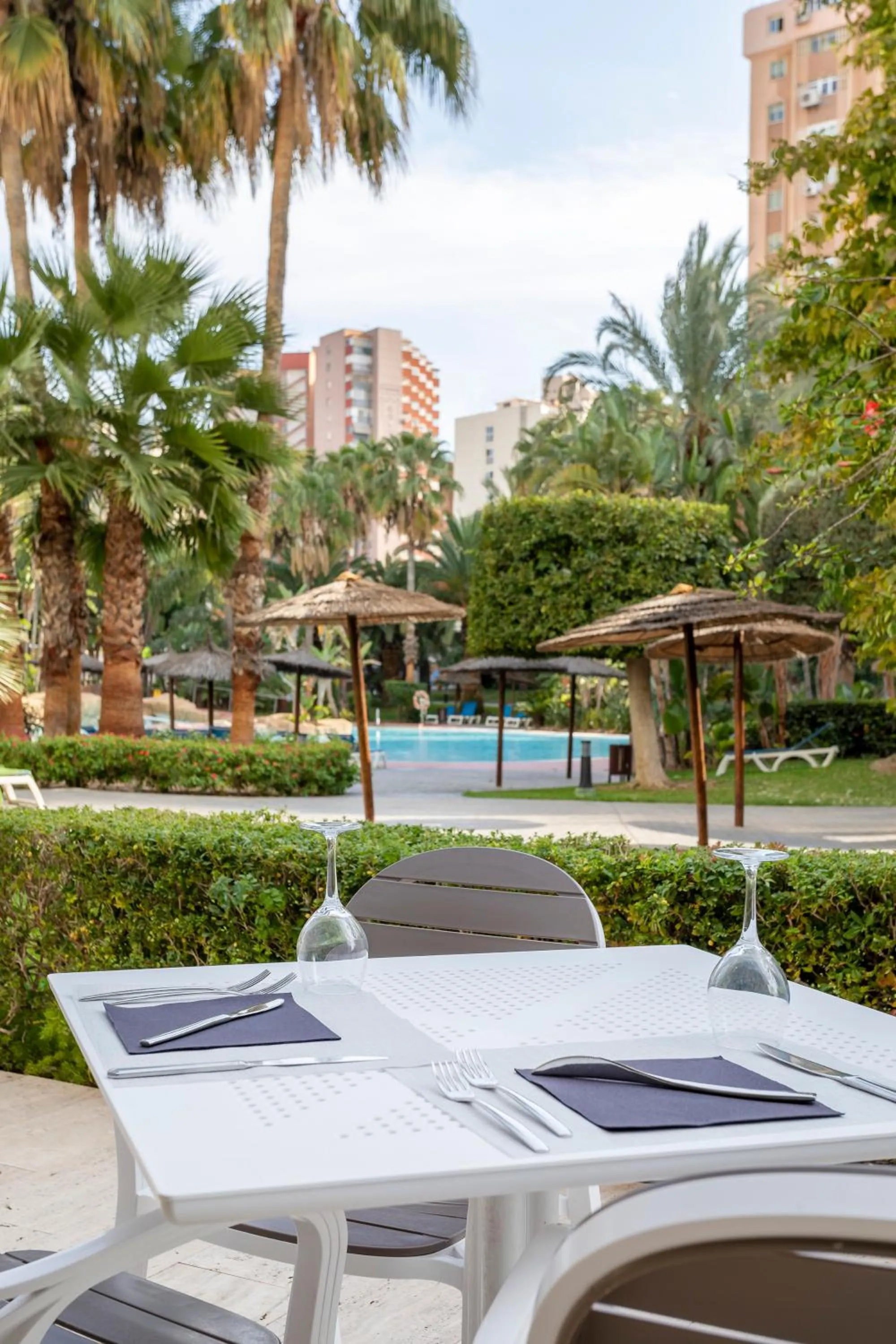 Restaurant/places to eat in Melia Benidorm