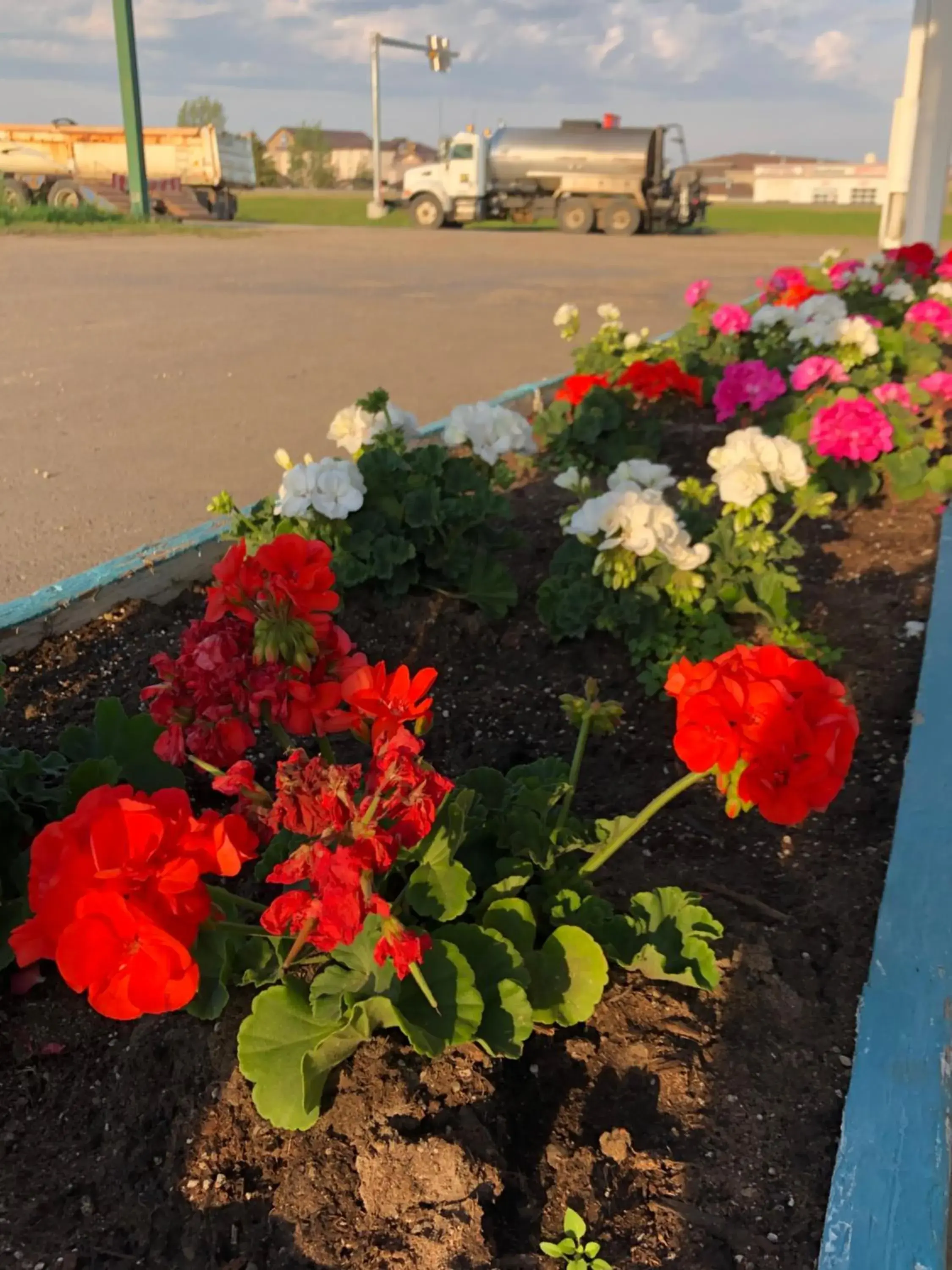 Garden in Voyageur Motel