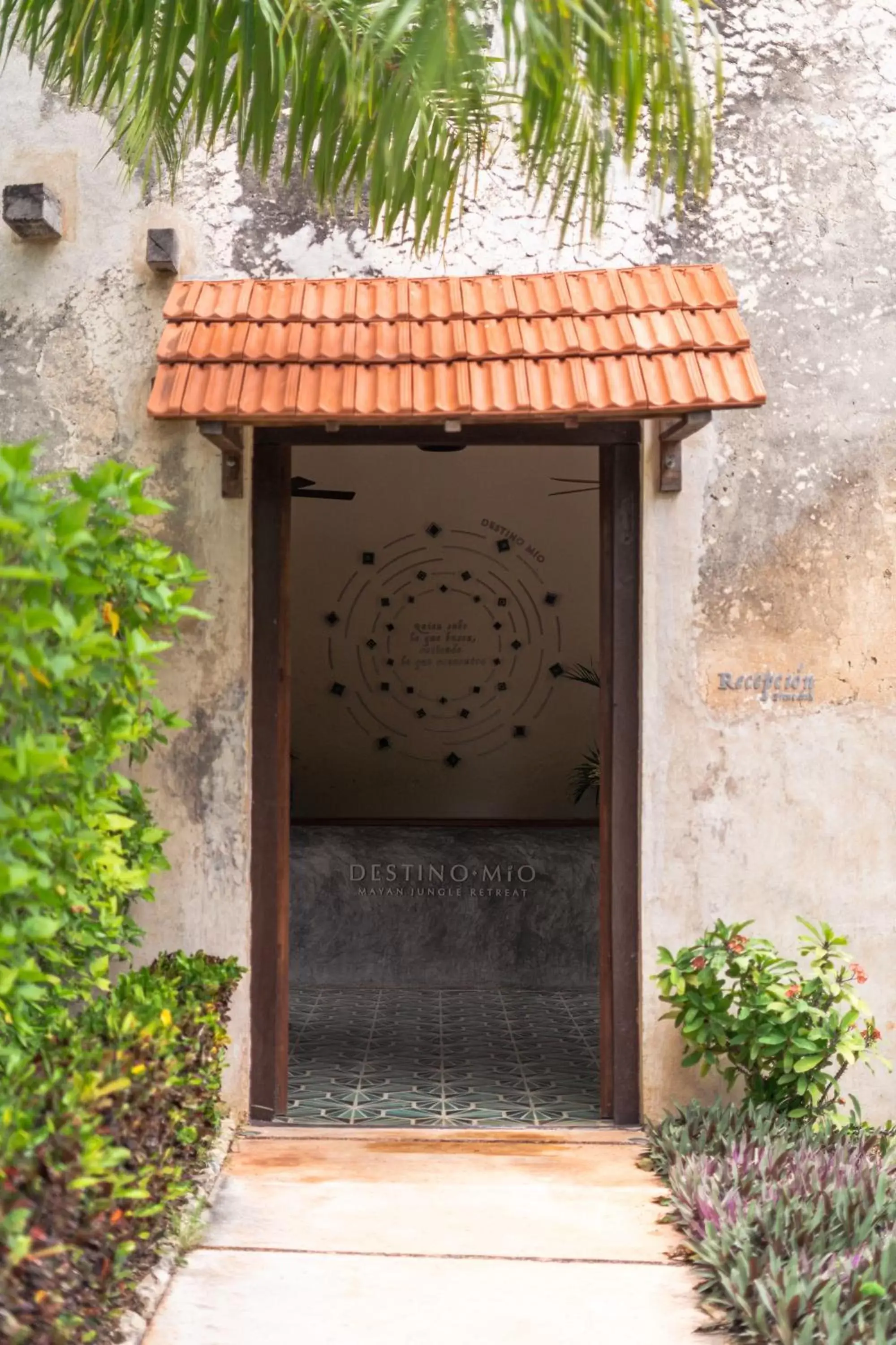 Lobby or reception in Destino Mío Mayan Jungle Retreat Lobby or reception in Destino Mío Mayan Jungle Retreat