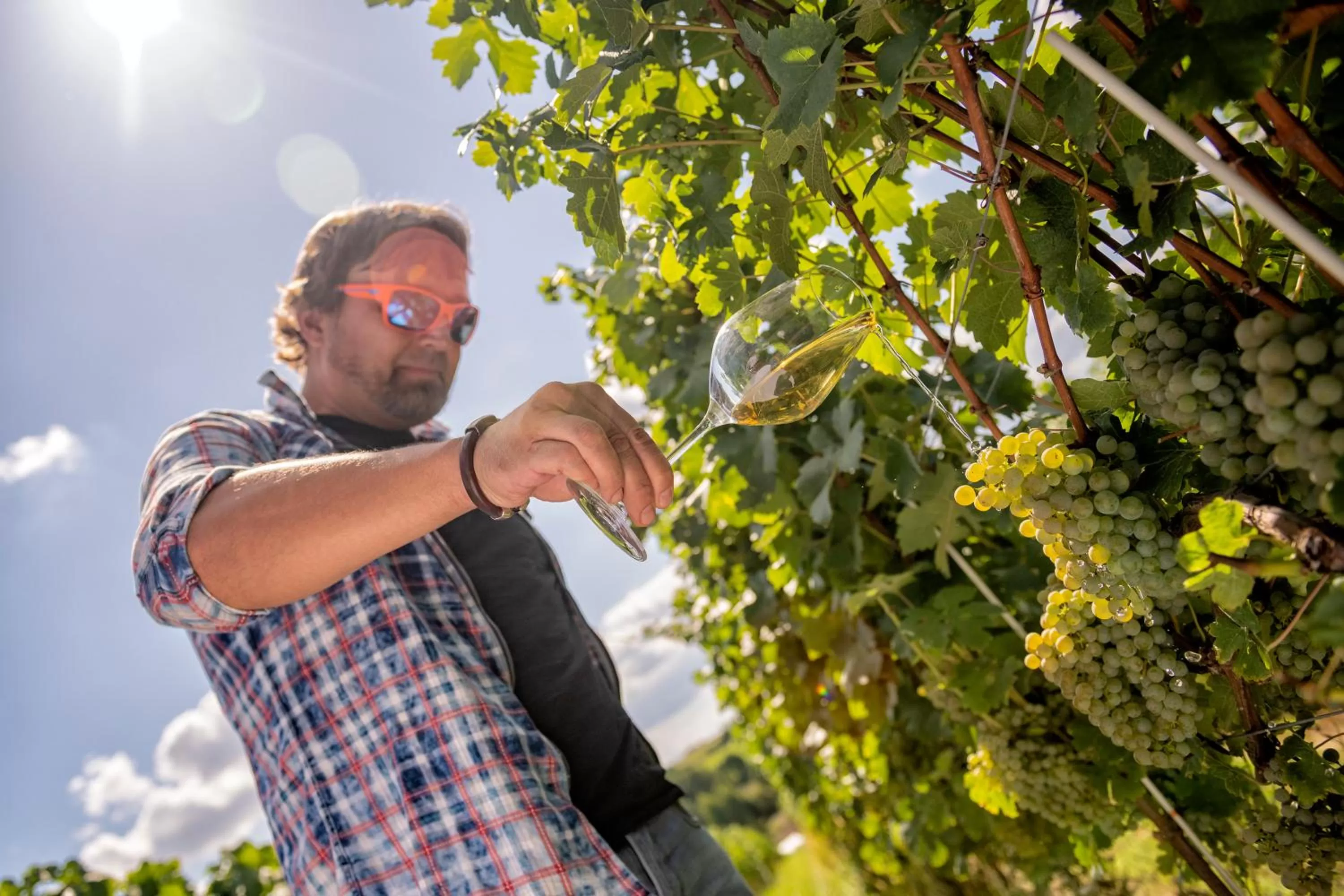 Staff in Hotel Niemcza Wino & Spa
