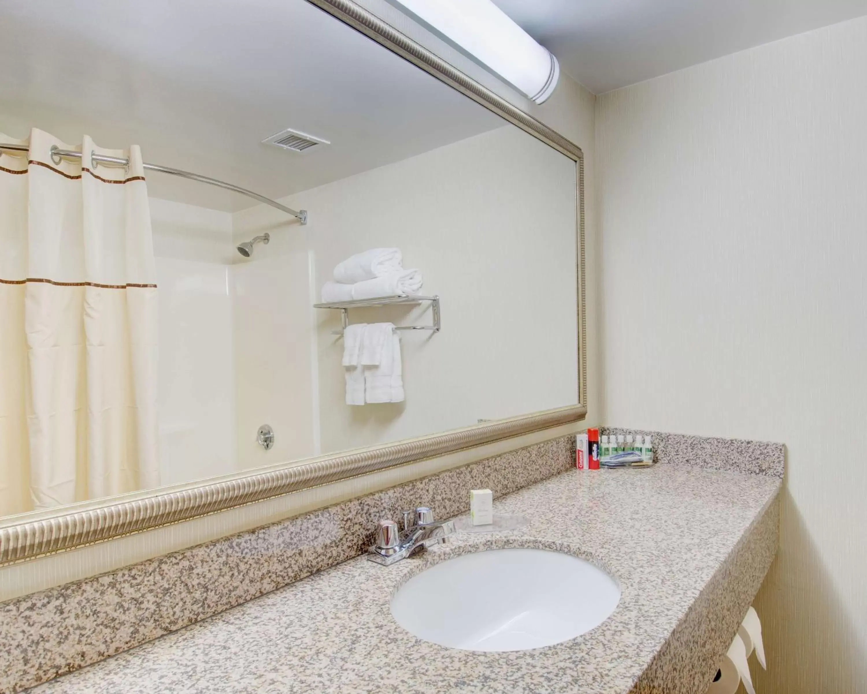 Bathroom in Best Western Royal Plaza Hotel and Trade Center