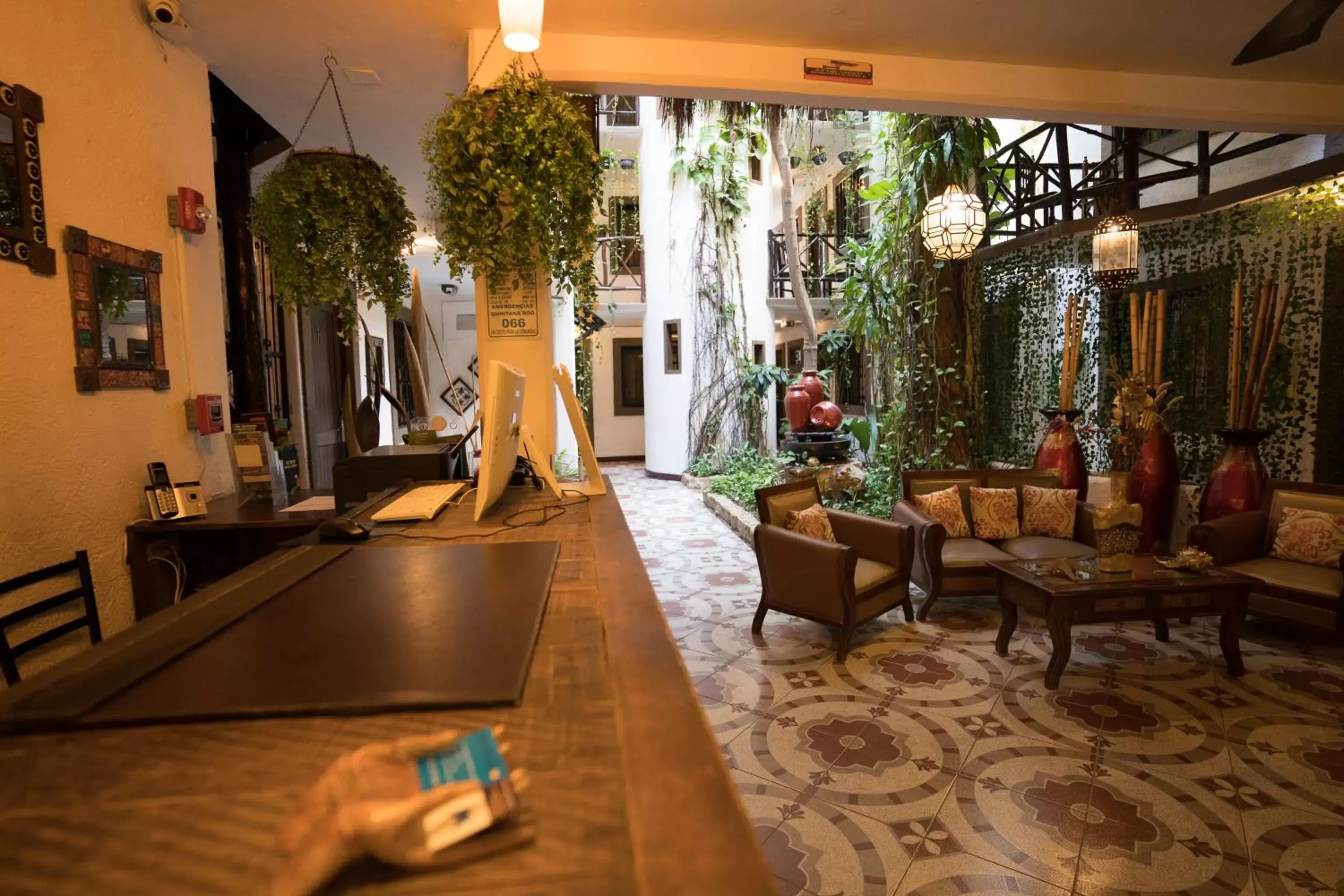 Lobby/Reception in Posada Mariposa Boutique Hotel - 5th Avenue