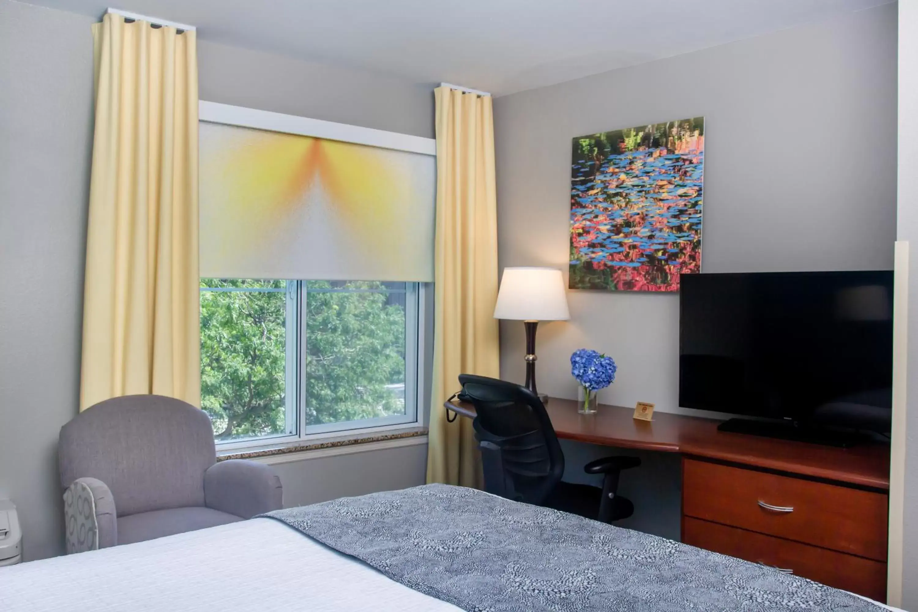 TV and multimedia, Bed in Belltown Inn TV and multimedia, Bed in Belltown Inn