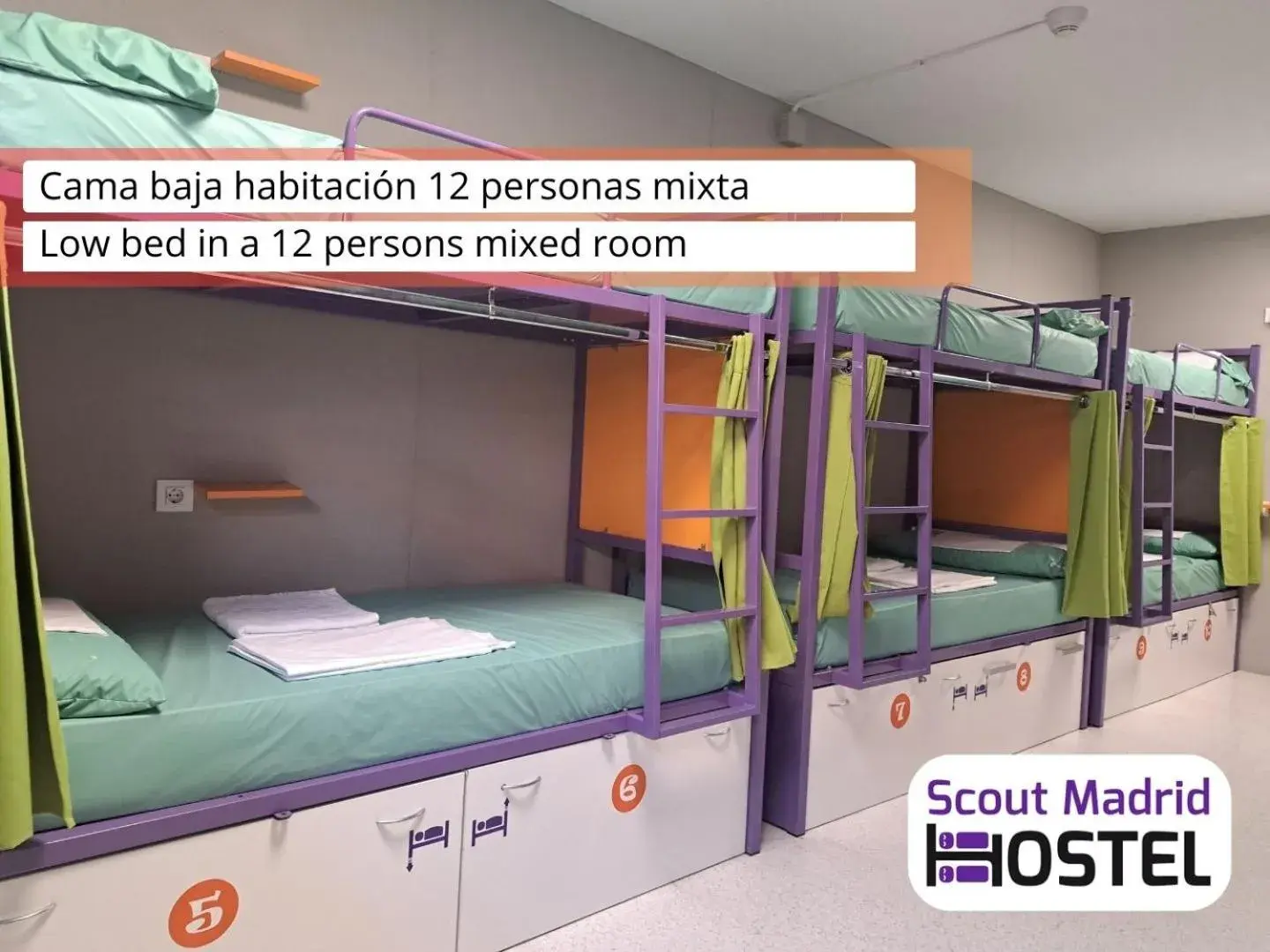 bunk bed, Bed in Scout Madrid Hostel