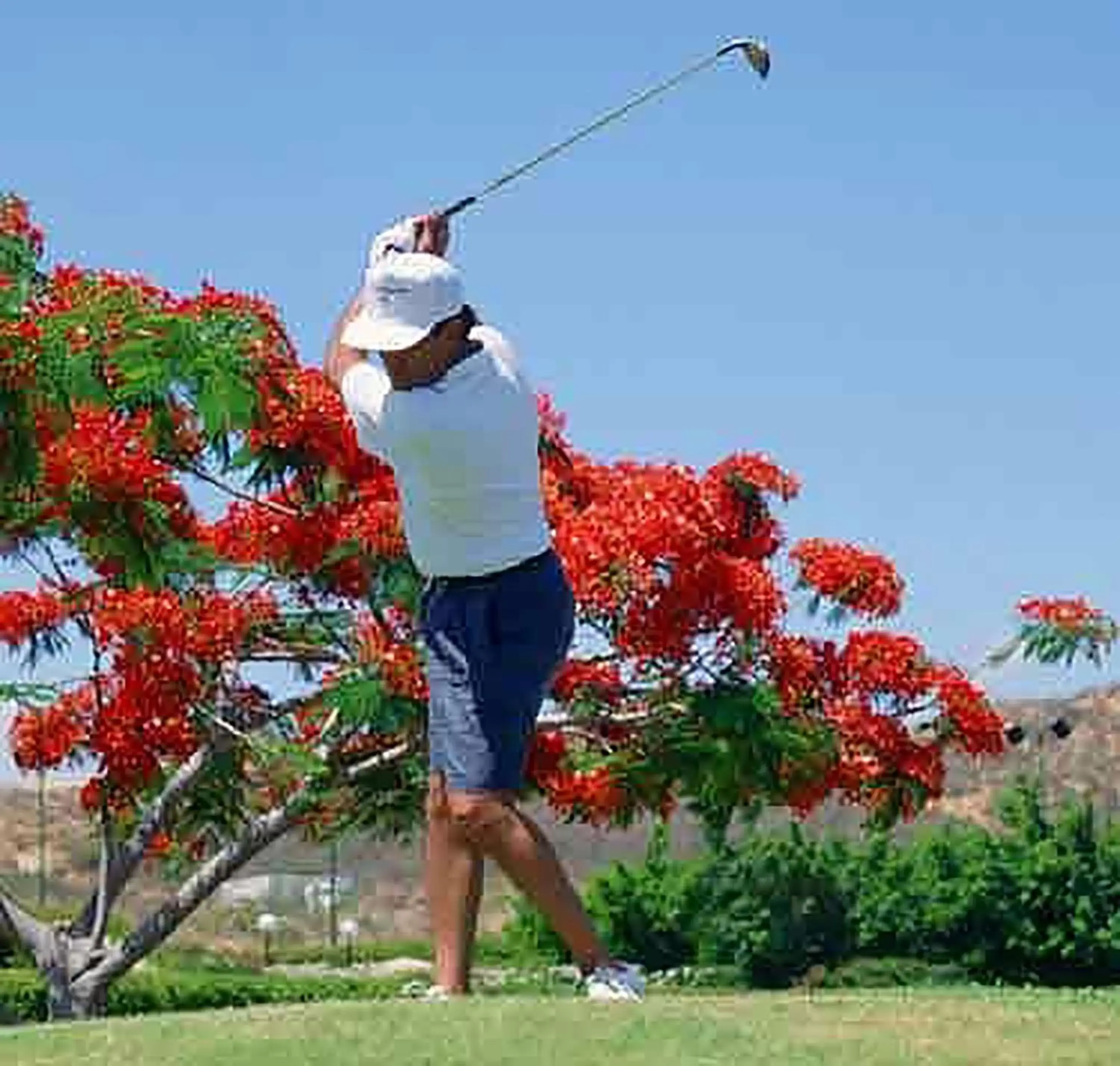 Raintree's Cimarron Golf Resort Palm Springs