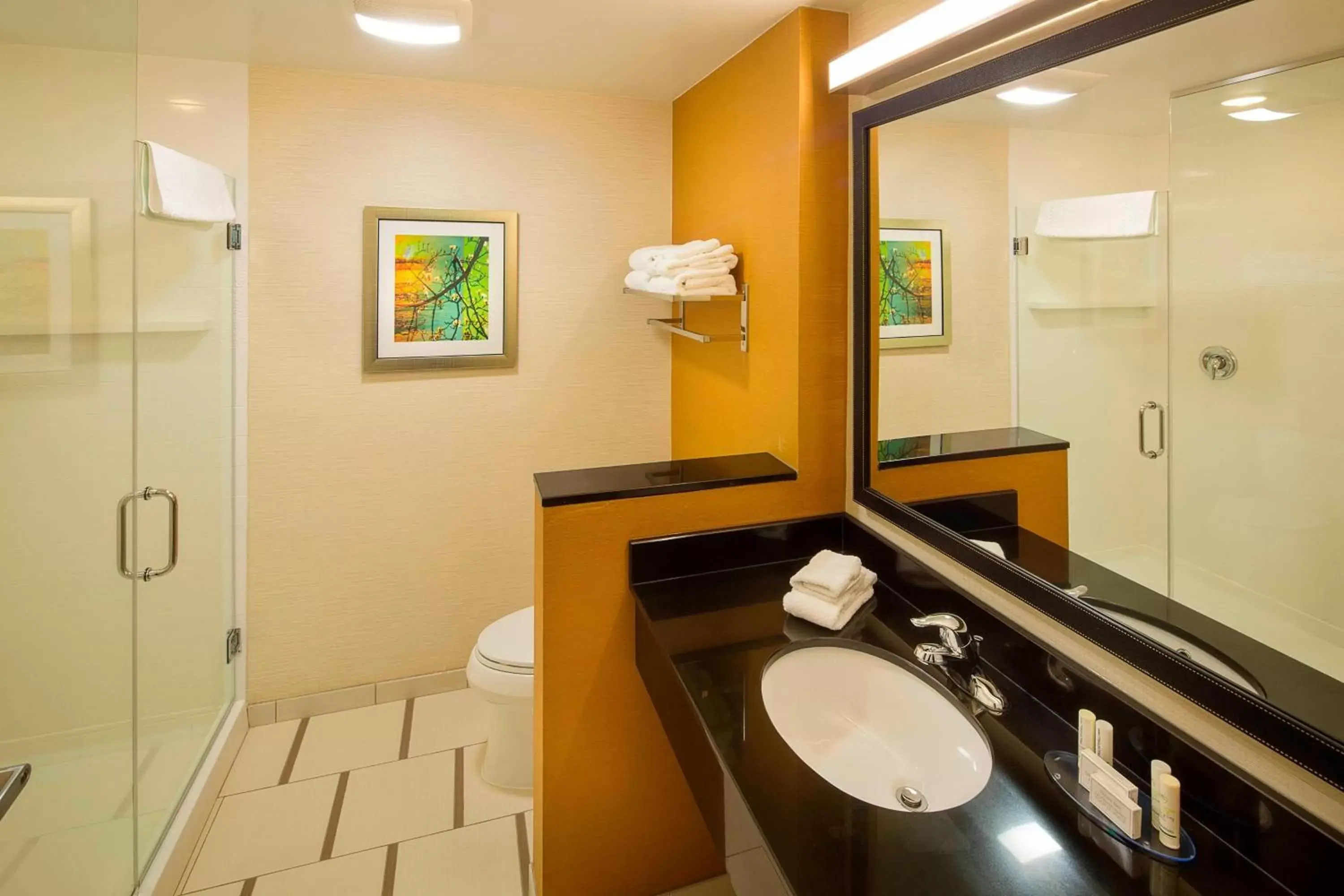 Bathroom in Fairfield Inn and Suites by Marriott Monaca