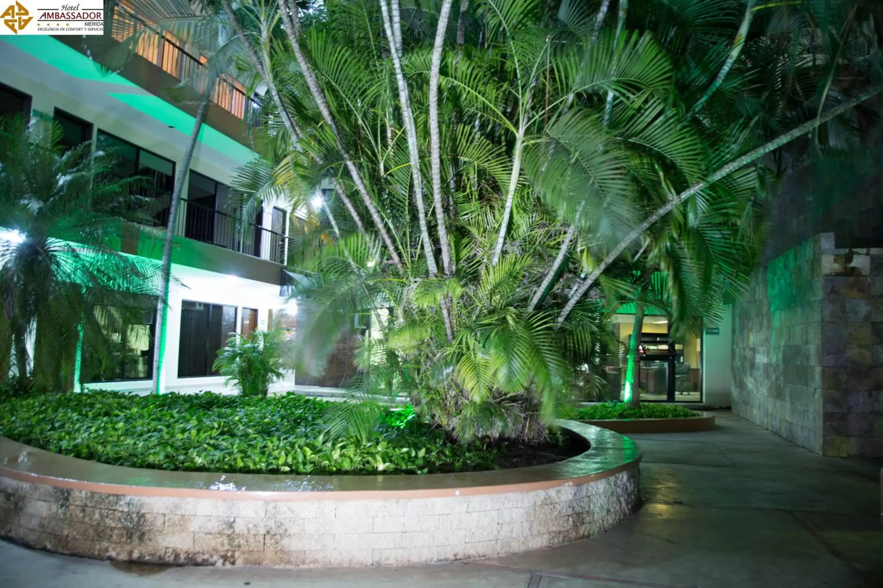 Night, Garden in Hotel Ambassador Mérida