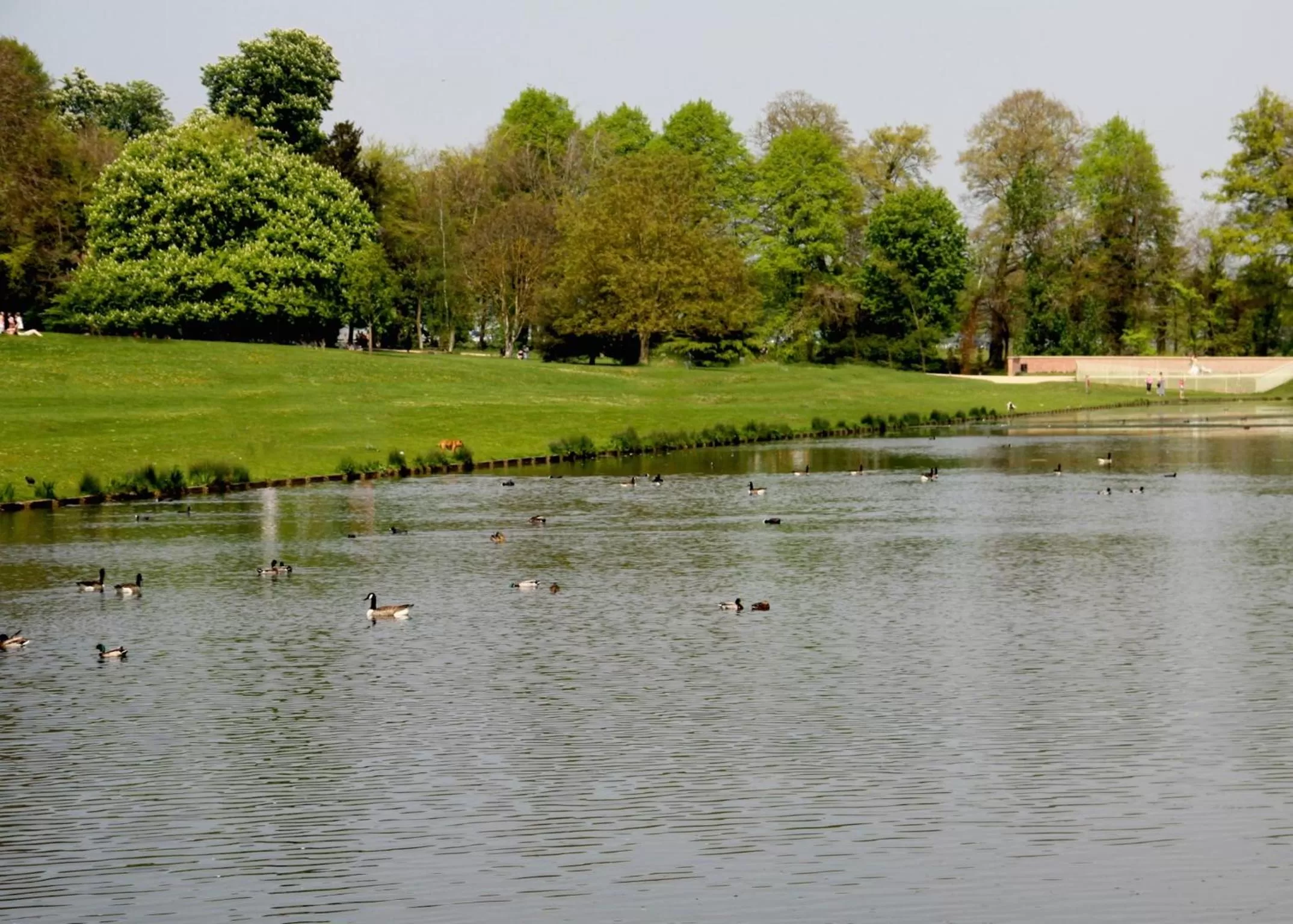 Area and facilities in Lydiard Park Hotel