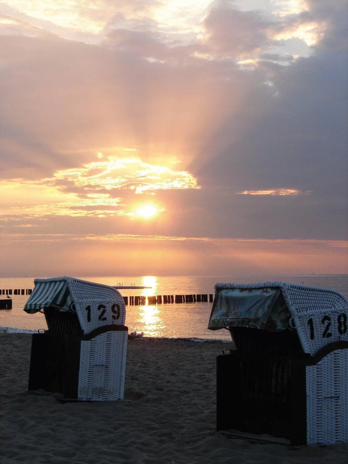 Area and facilities in Hotel Doberaner Hof