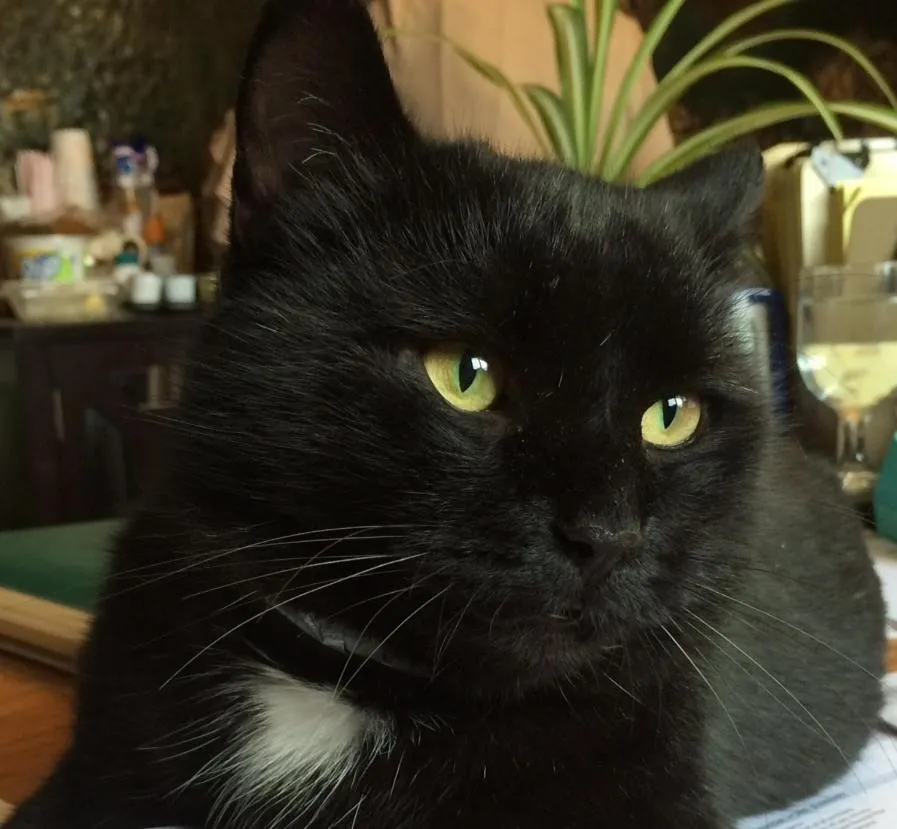 People in The Black Mountain Inn