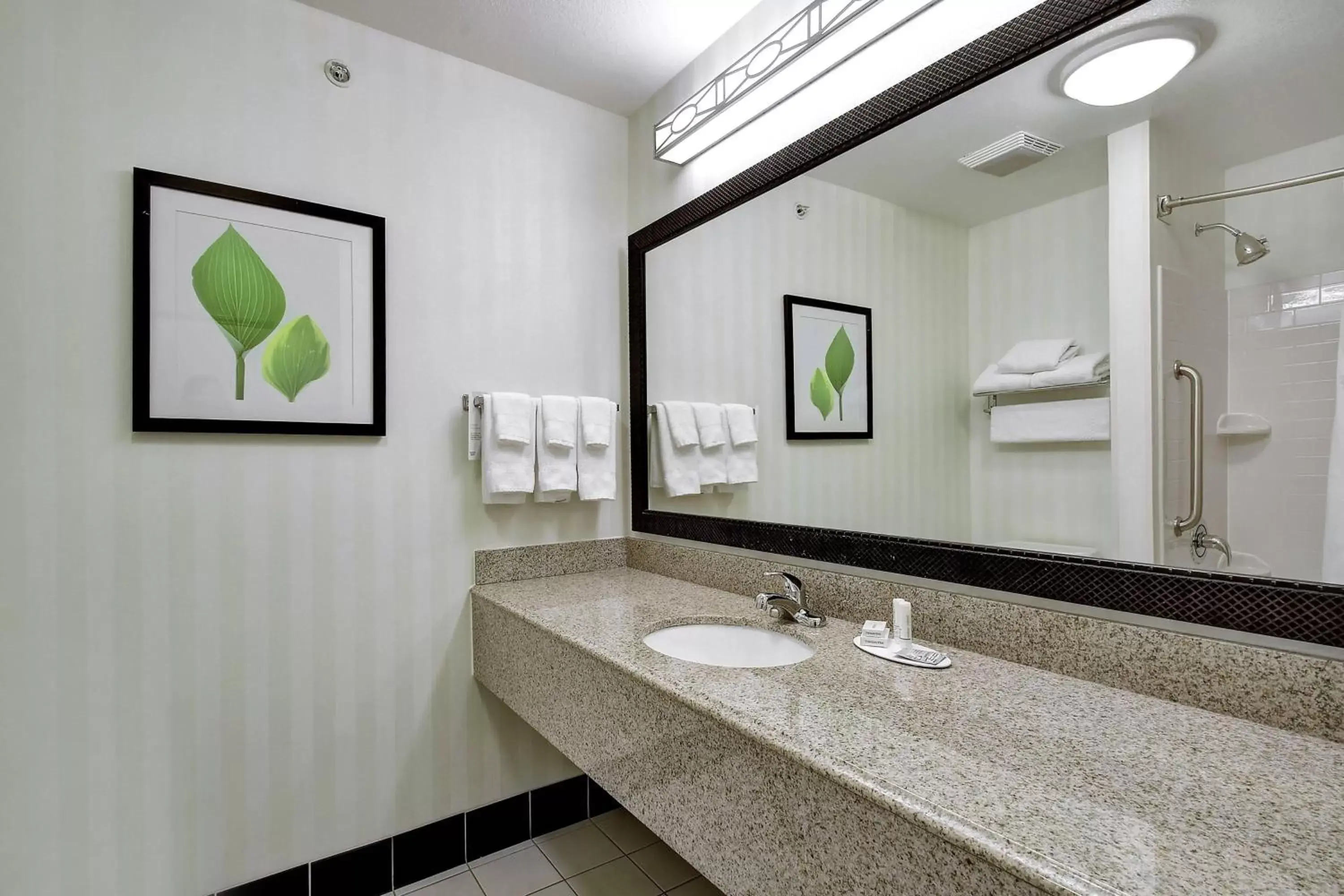 Bathroom in Fairfield Inn and Suites by Marriott San Antonio Boerne