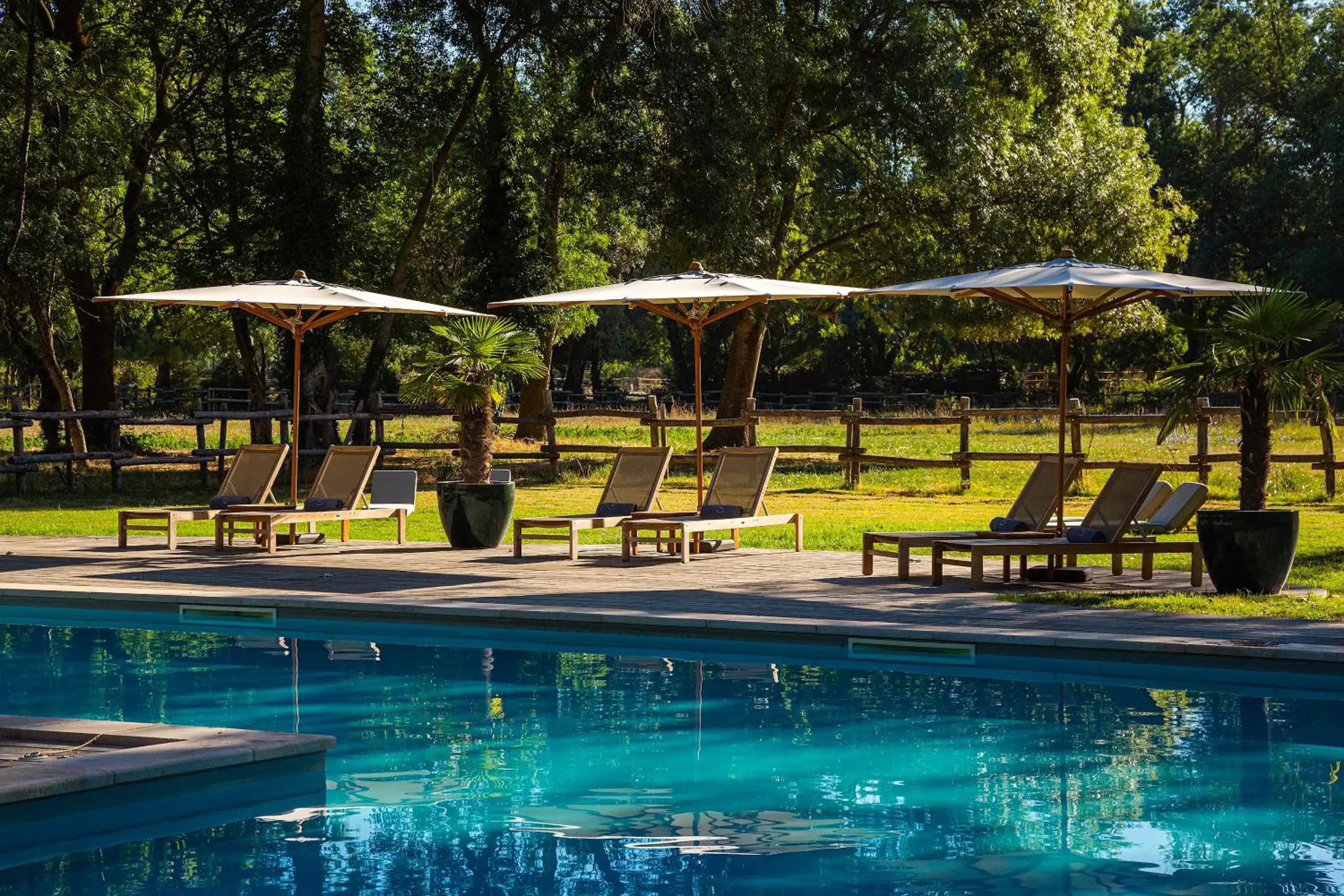 , Swimming Pool in Domaine de Biar