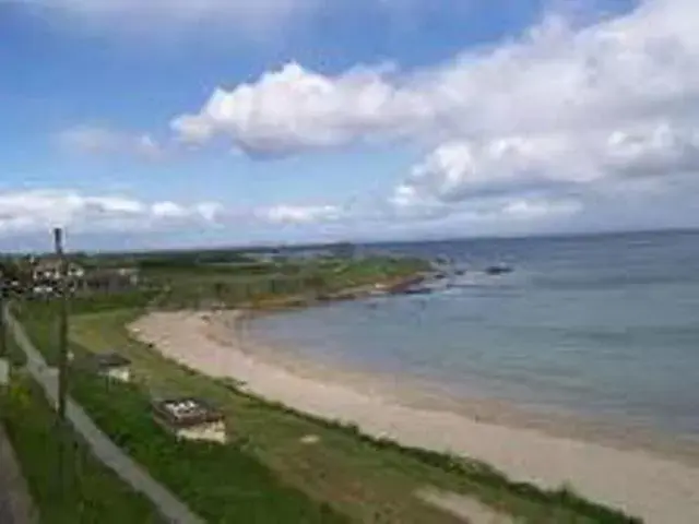 Area and facilities, Beach in Bracken Court Hotel