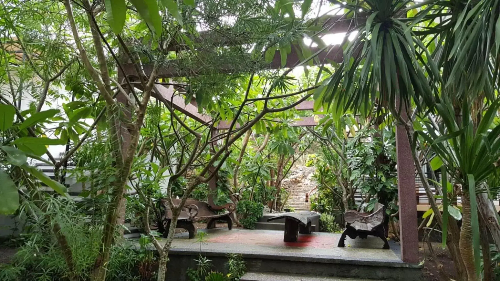 Garden view in Exotic Komodo Hotel Garden view in Exotic Komodo Hotel