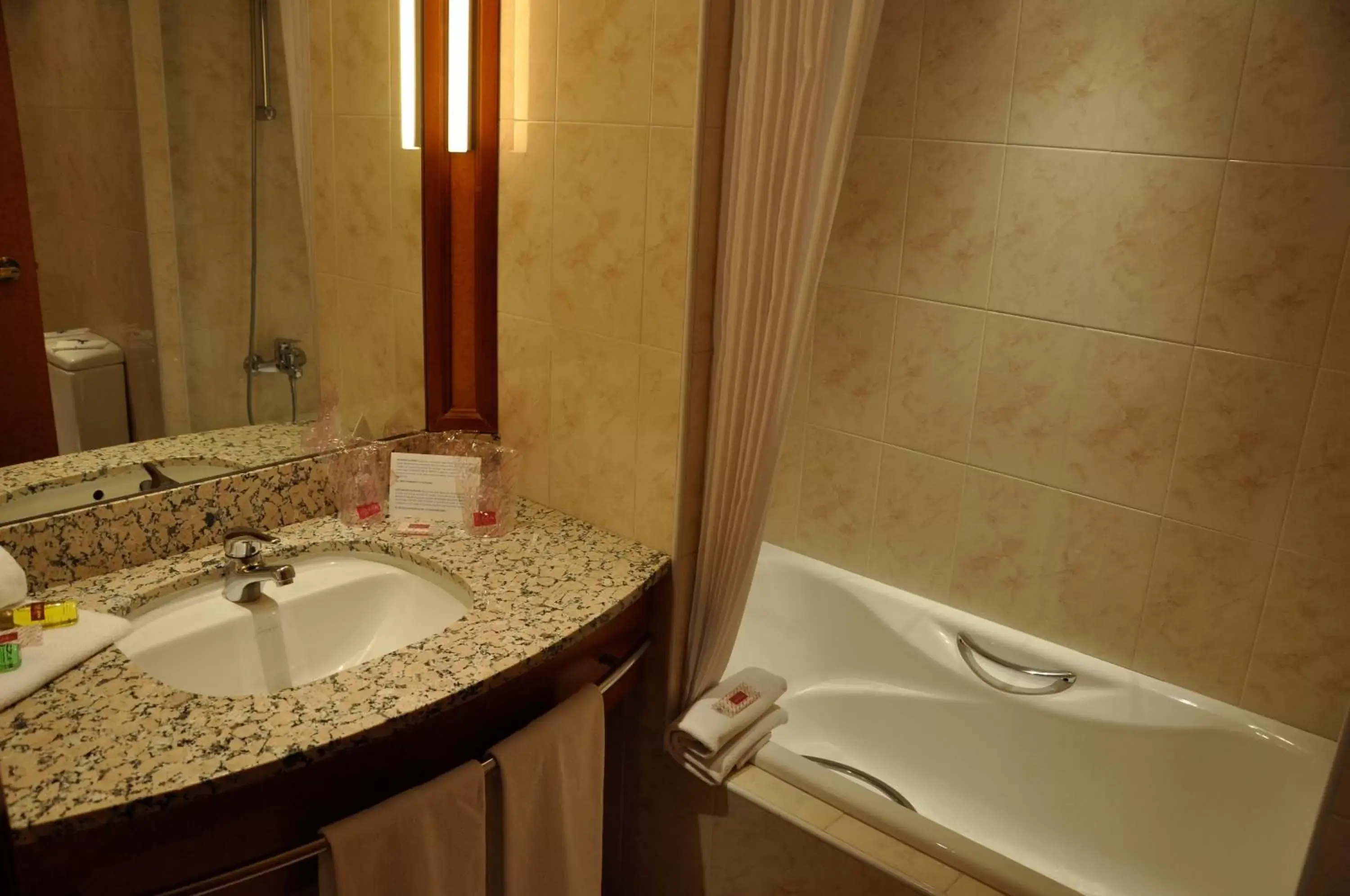 Bathroom in Mercure Andorra