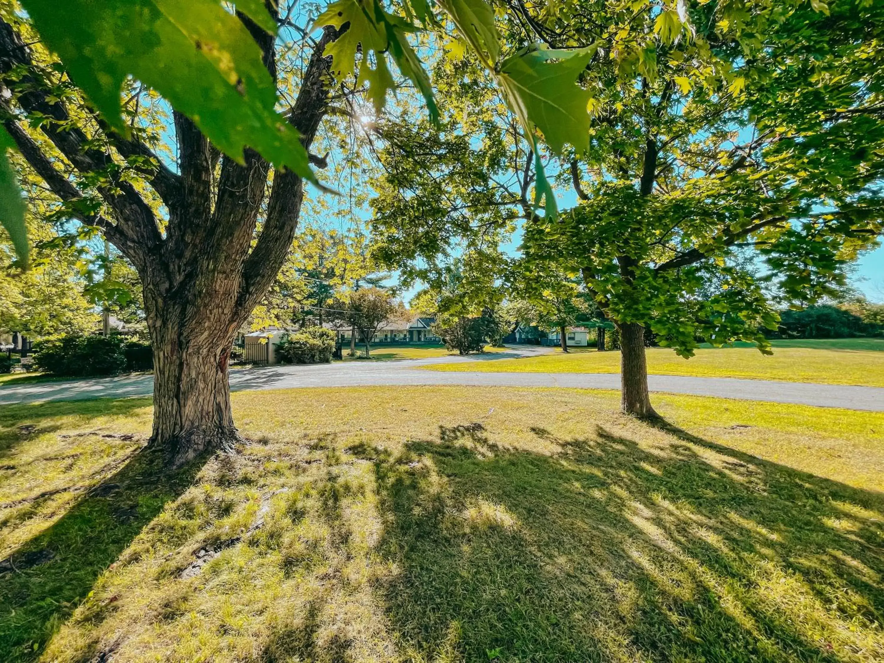 Inner courtyard view, Garden in Super 8 by Wyndham Gananoque - Country Squire Resort