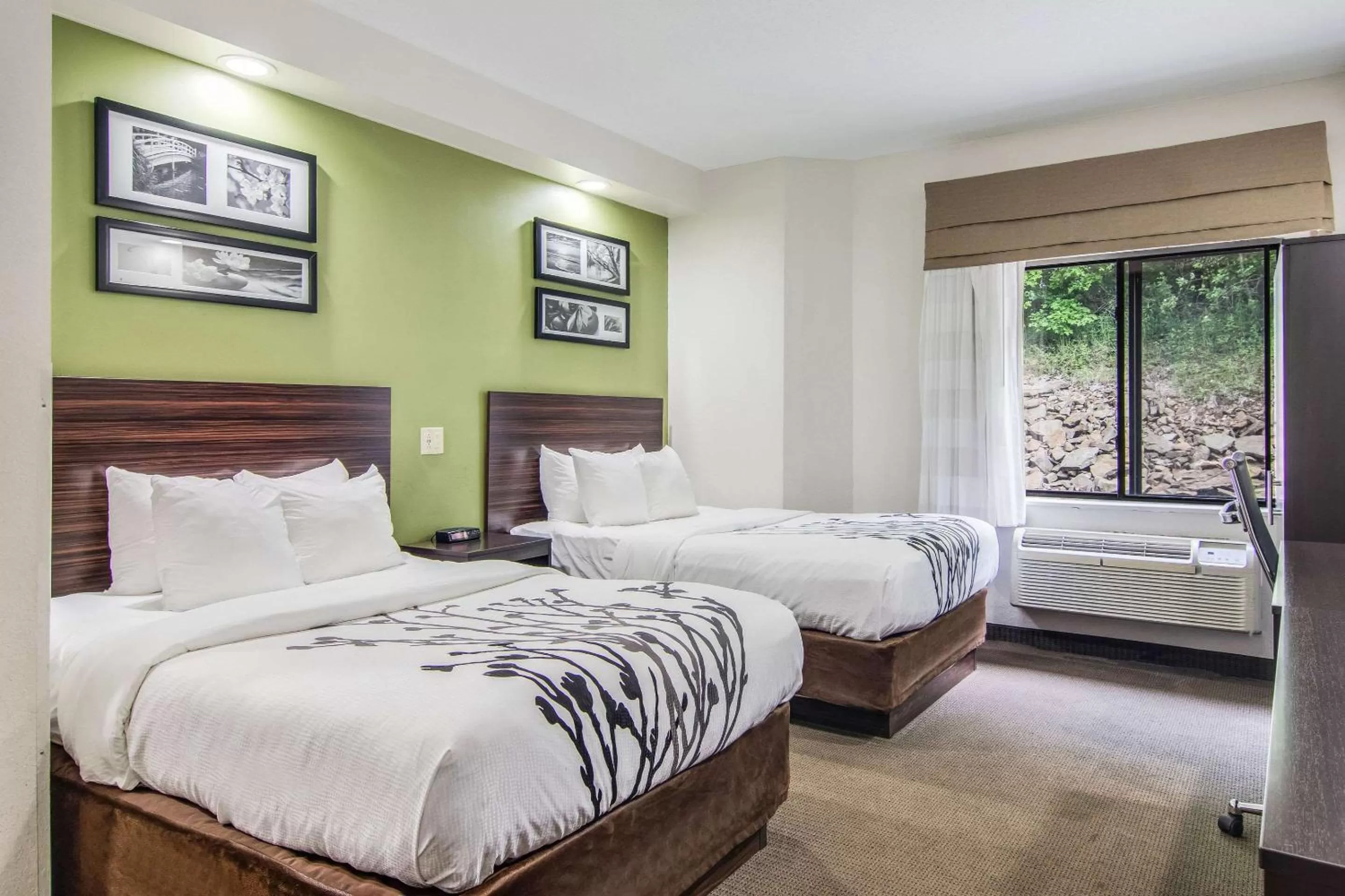 Photo of the whole room, Bed in Sleep Inn Austintown - Youngstown, West