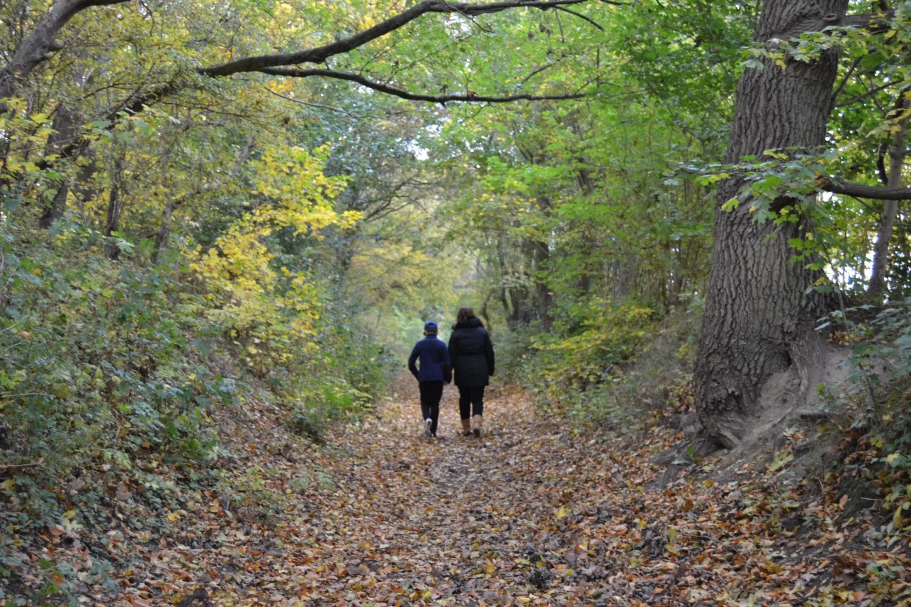 Off site, Horseback Riding in Ny Kirstineberg Gods Bed & Breakfast