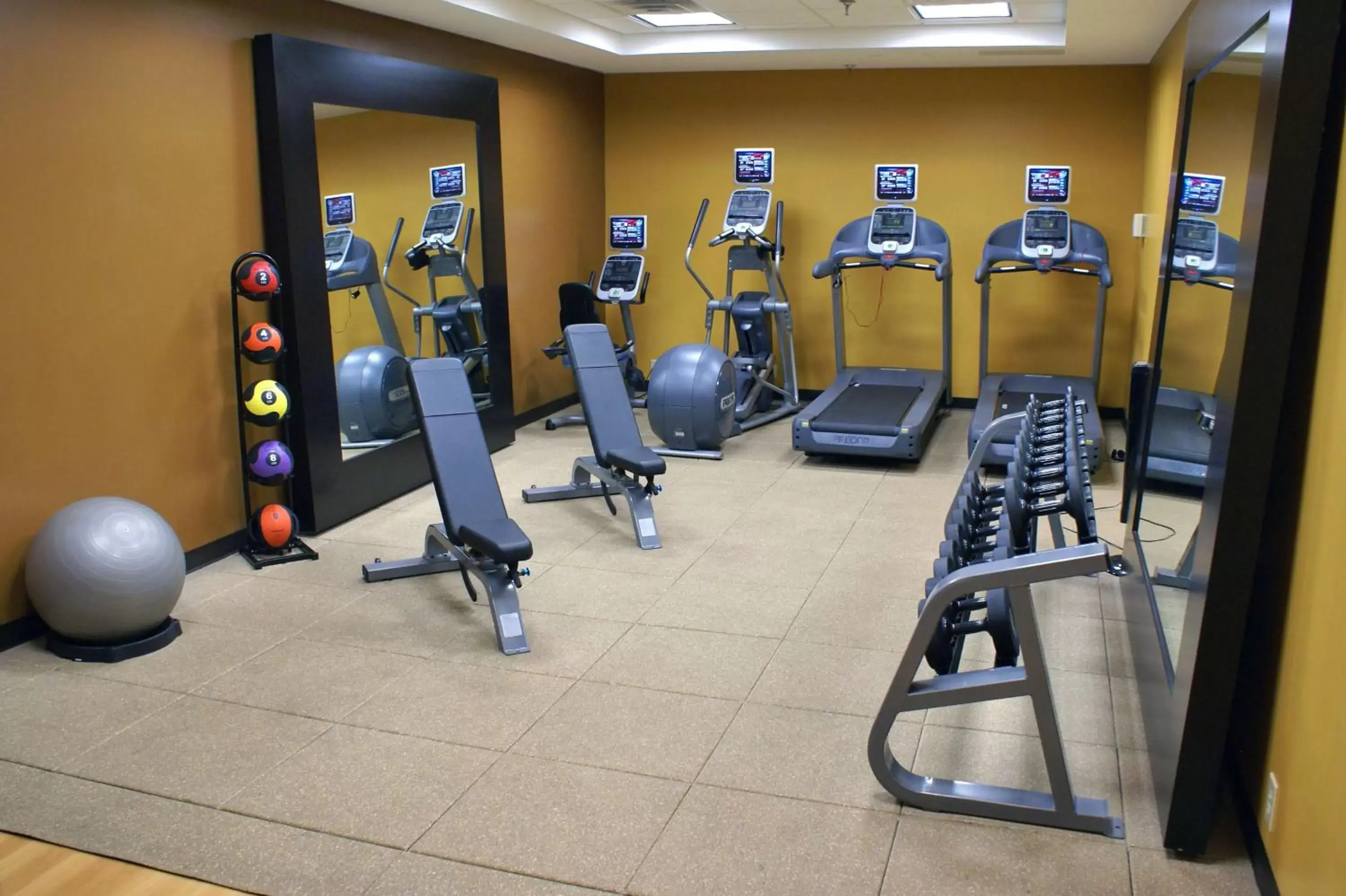 Fitness centre/facilities, Fitness Center/Facilities in DoubleTree Suites by Hilton Lexington