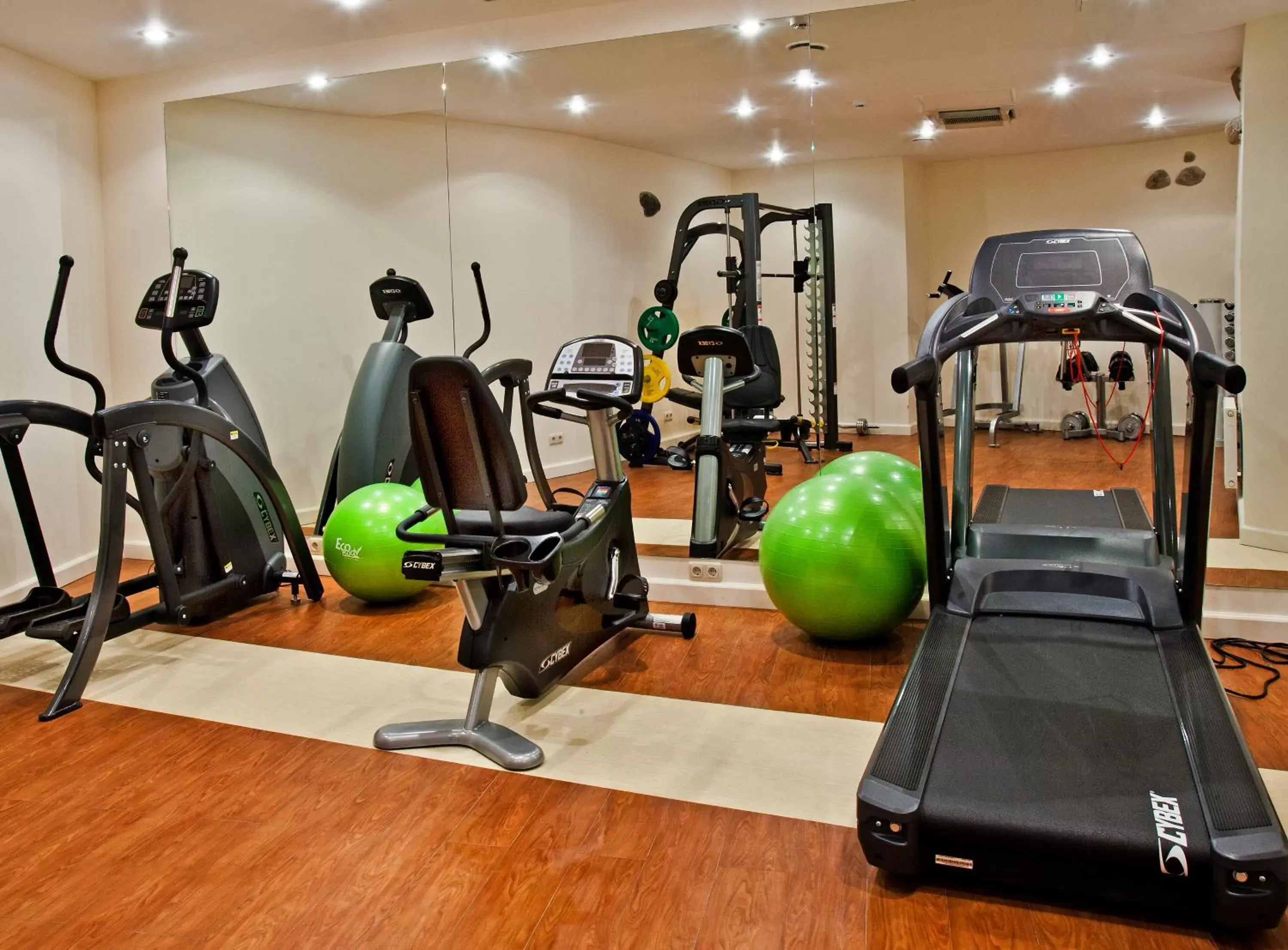 Fitness centre/facilities, Fitness Center/Facilities in Relais & Châteaux Stikliai Hotel