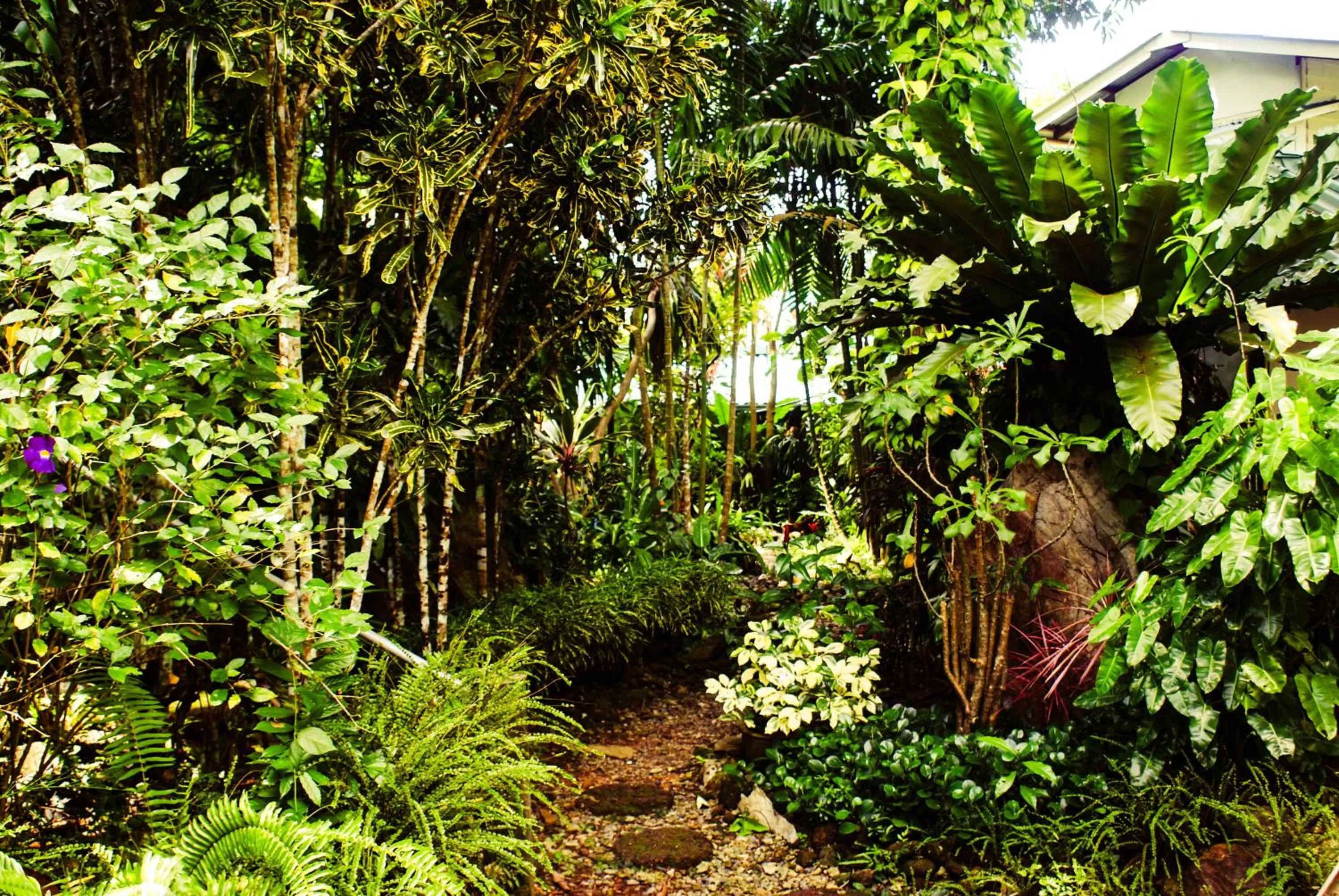 Garden in Rock Inn Bailan