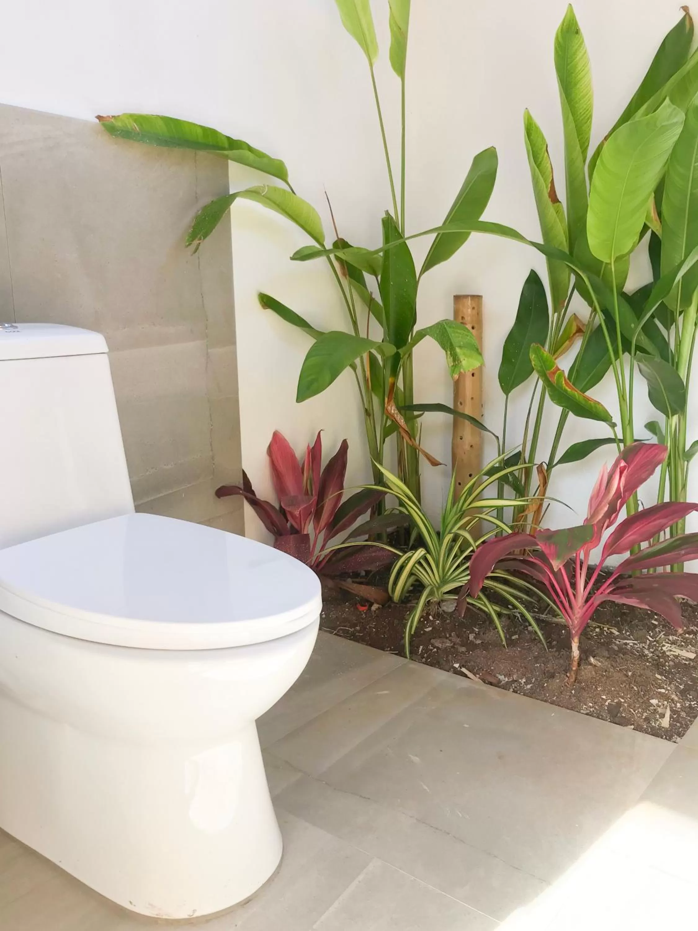 Toilet in Mandala Tribe Treehouses