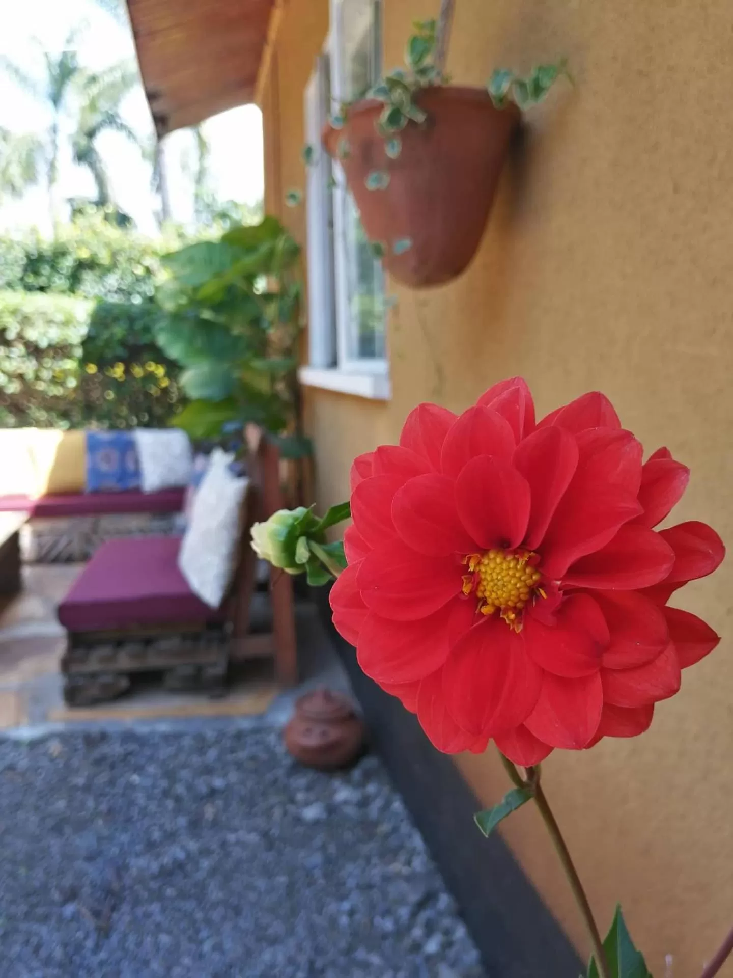 Garden in Utamaduni House B&B