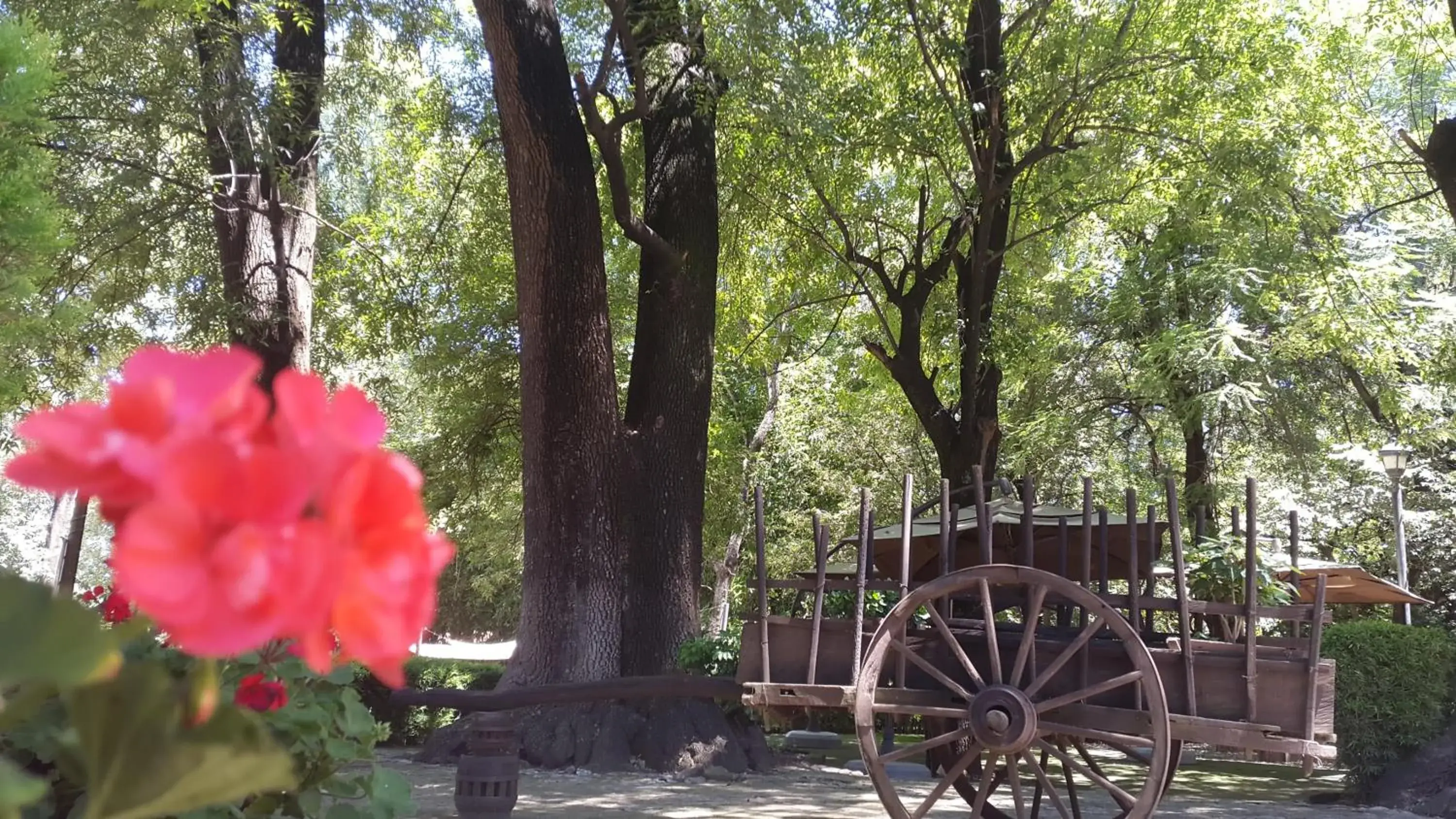 Patio in El Marques Hacienda