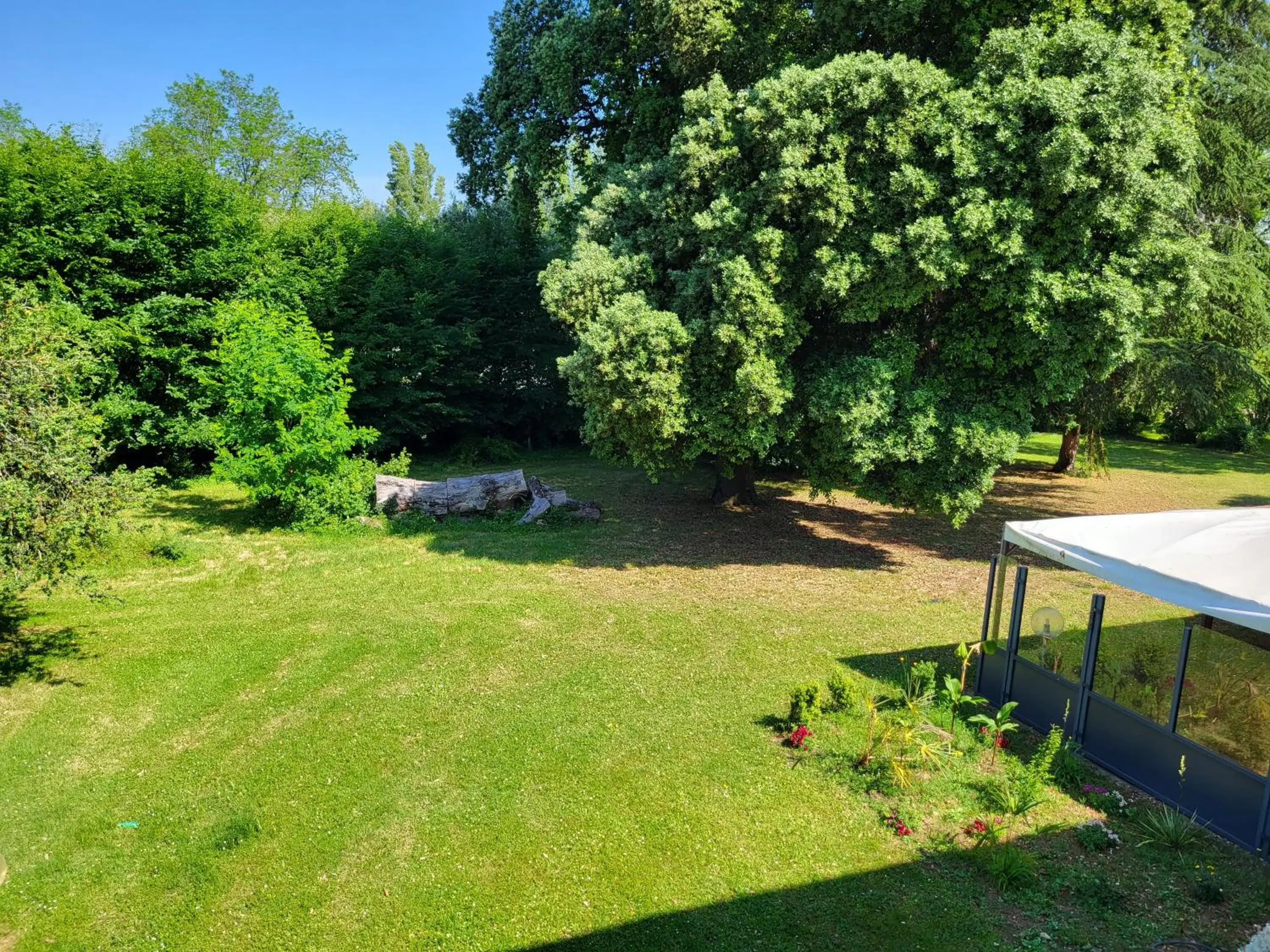 Garden in Hôtel La Flambée