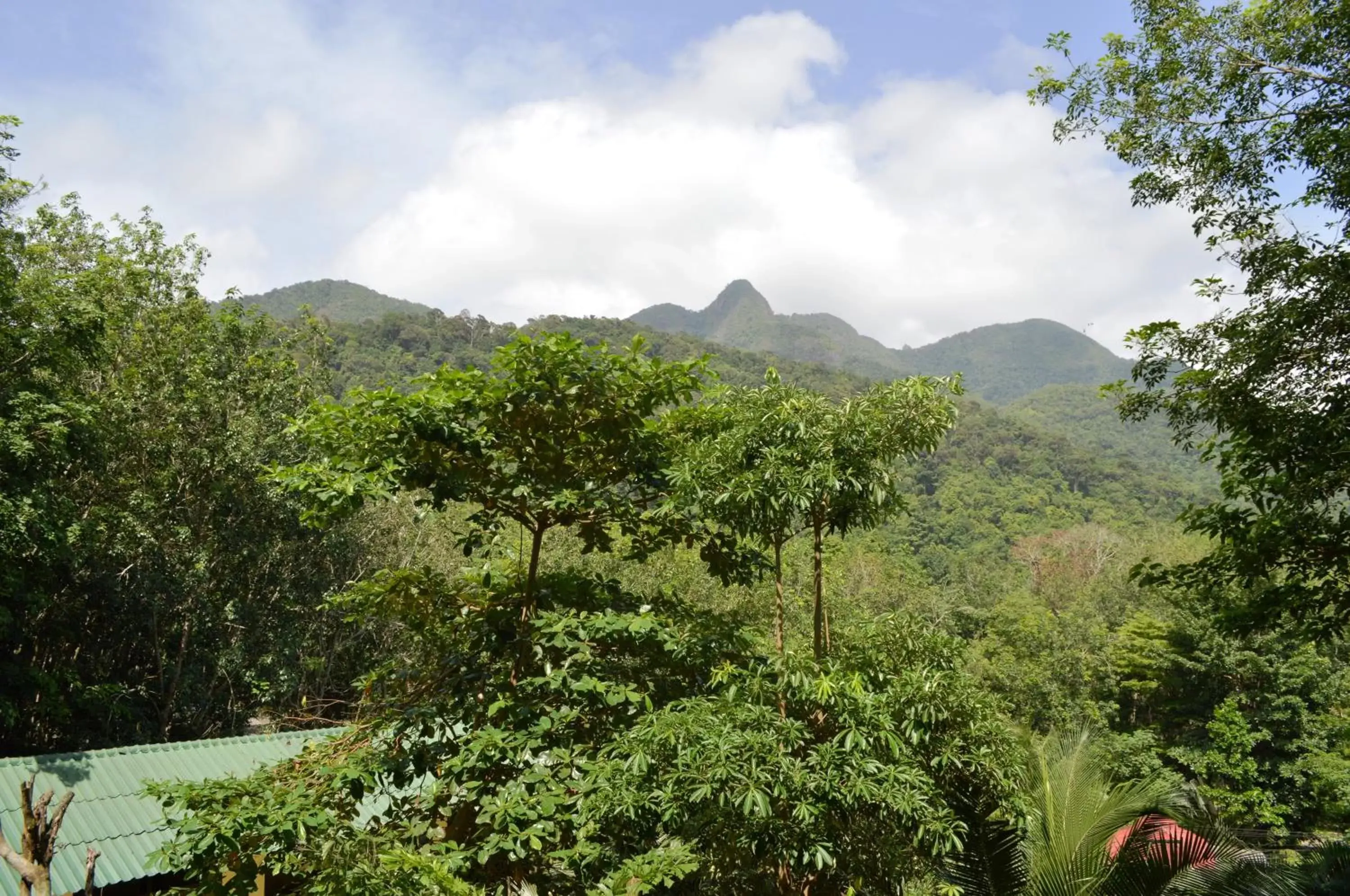 Mountain View in Island Lodge