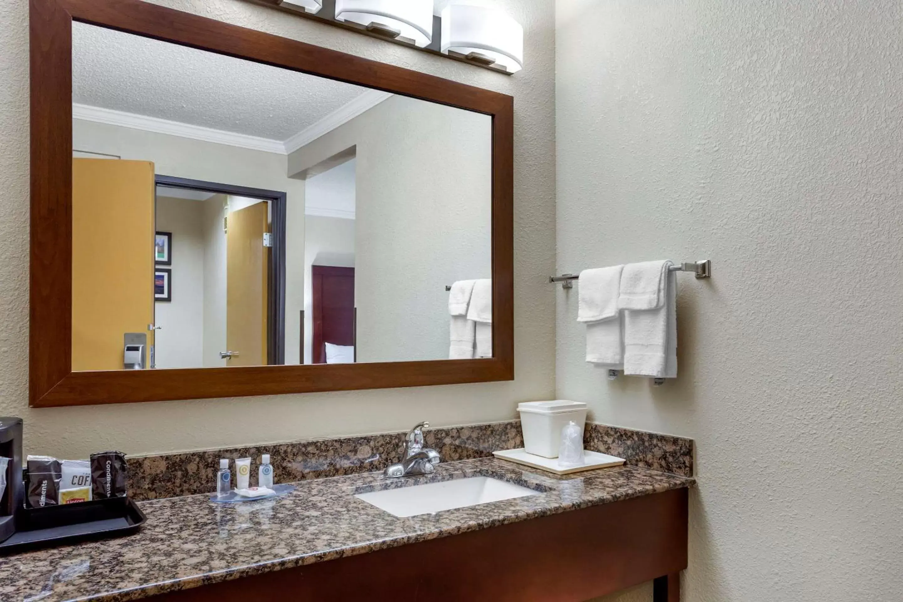 Photo of the whole room, Bathroom in Comfort Inn Hoffman Estates – Schaumburg