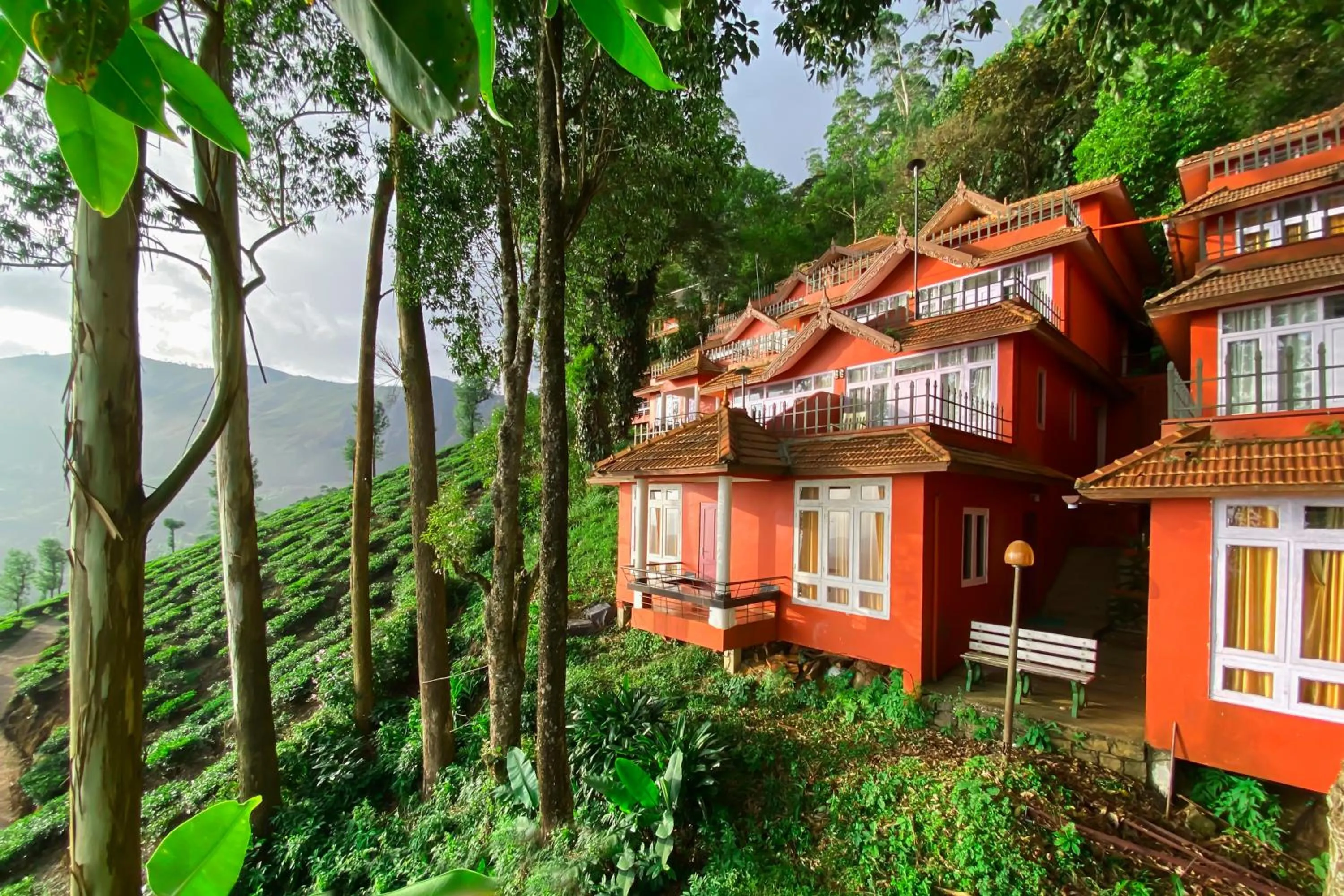 View (from property/room) in Tea Valley Resort, Munnar