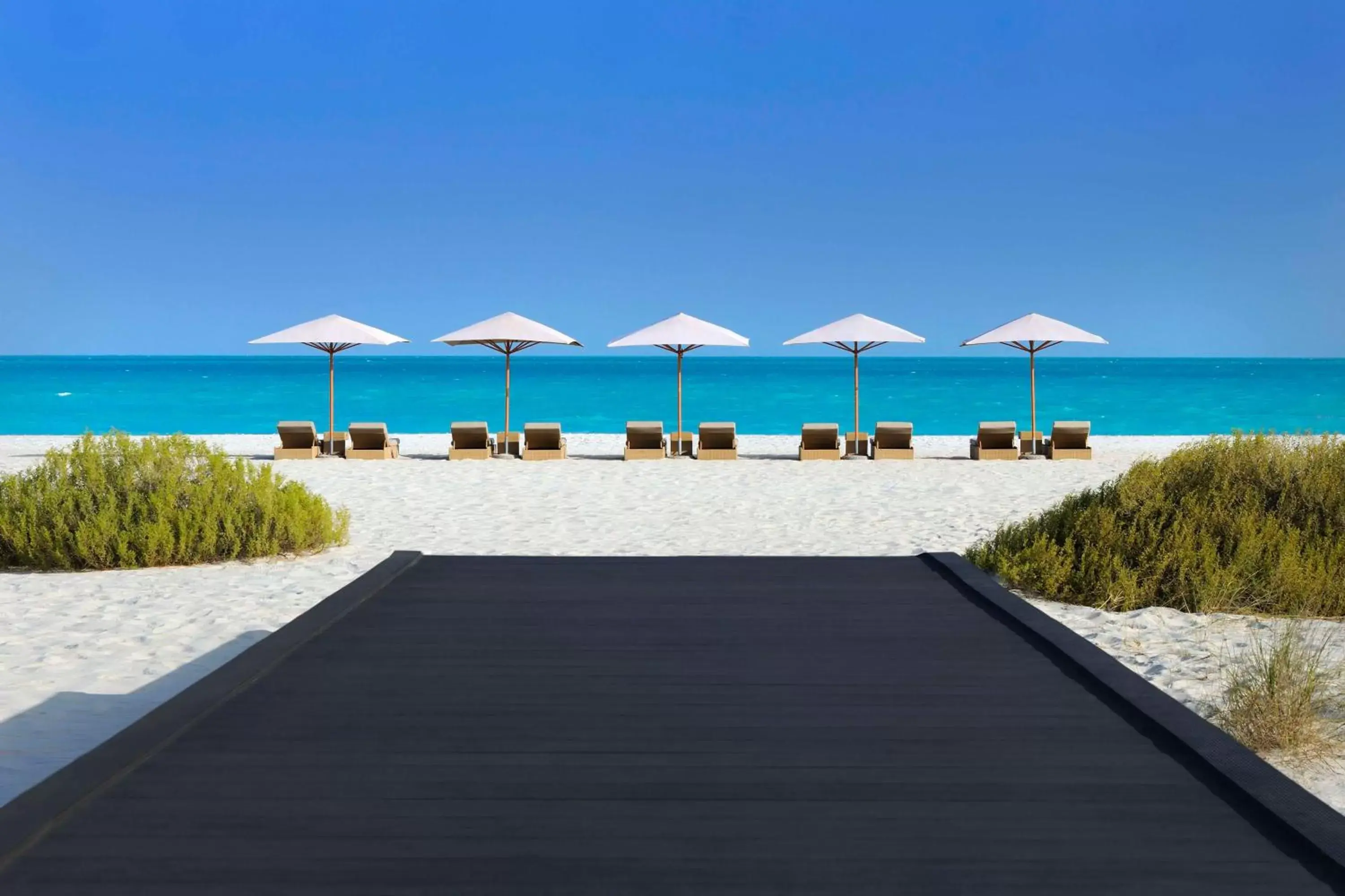 Beach, Swimming Pool in Park Hyatt Abu Dhabi Hotel and Villas