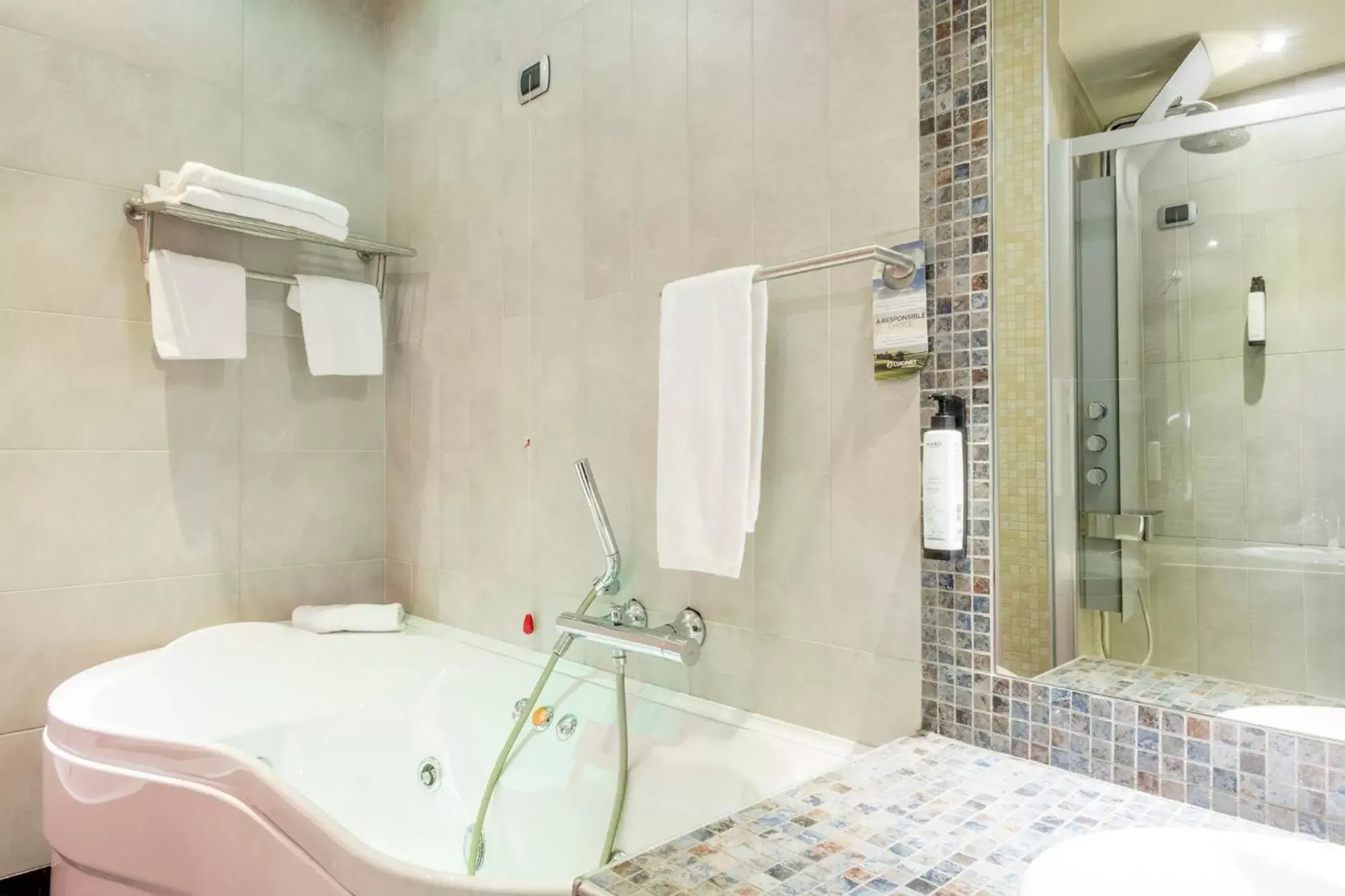 Toilet, Bathroom in Hotel San Marco Fitness Pool & Spa