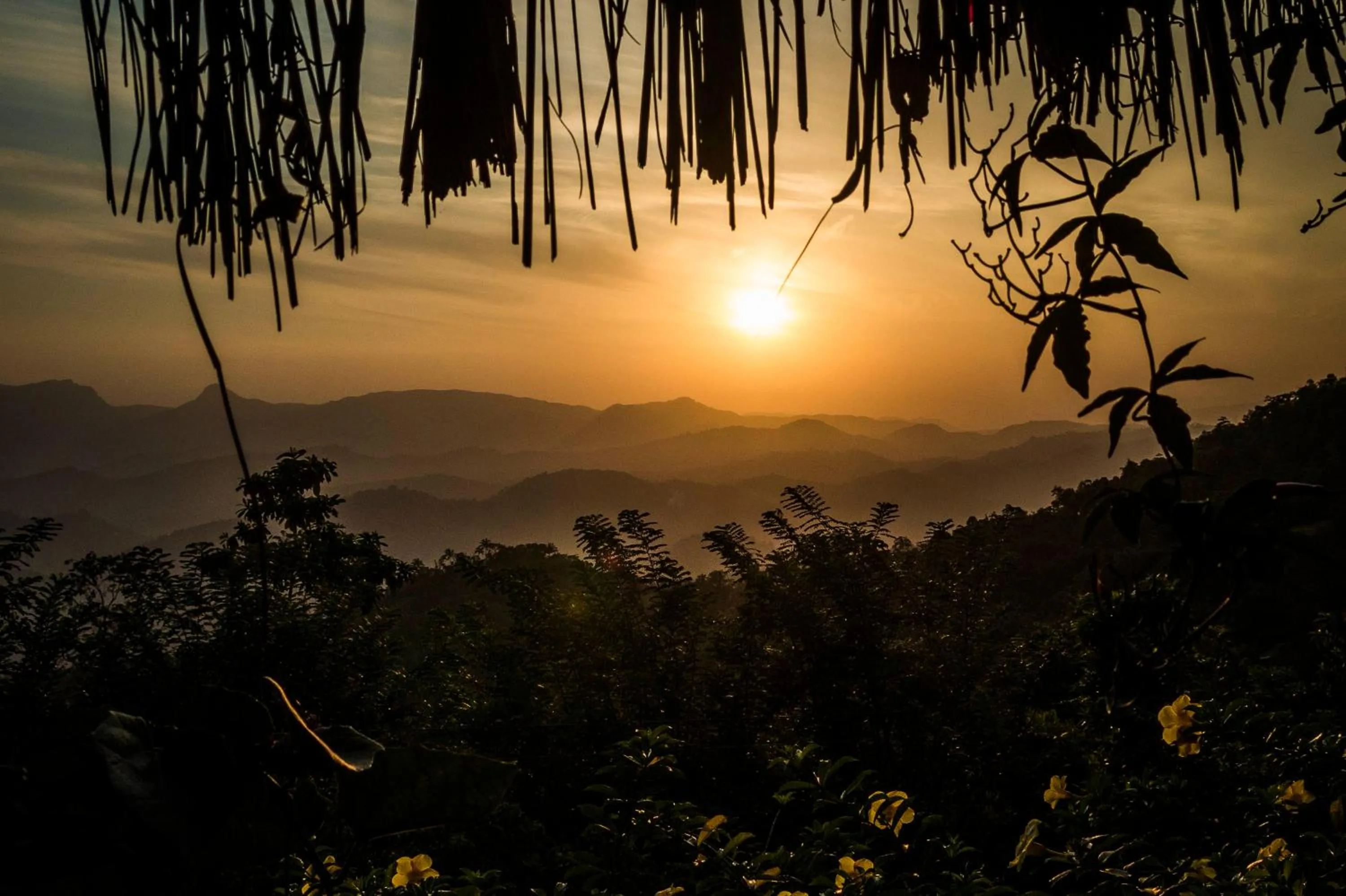 Sunrise in Yasmin Hill Longevity Oasis