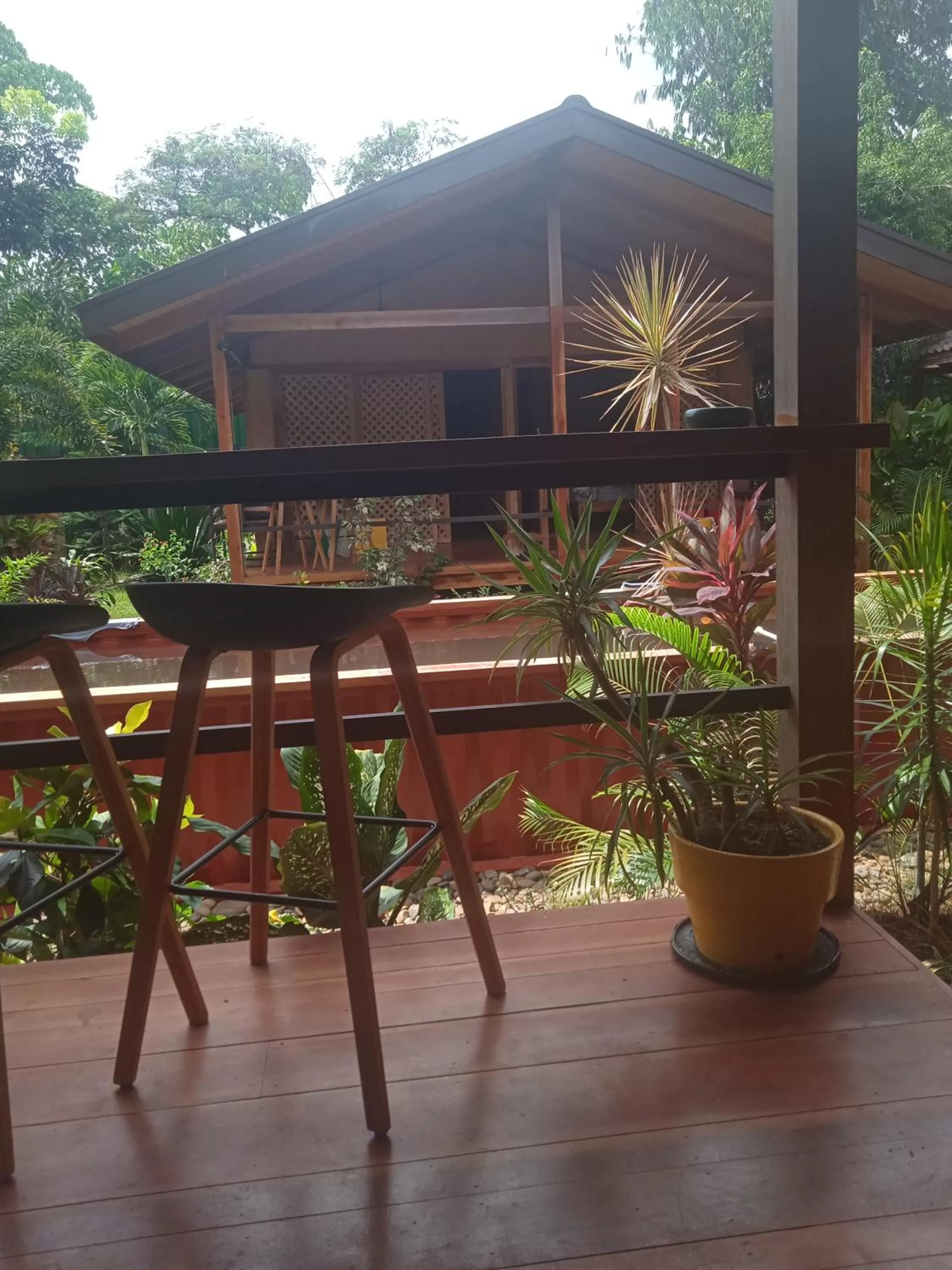 View (from property/room) in At Home