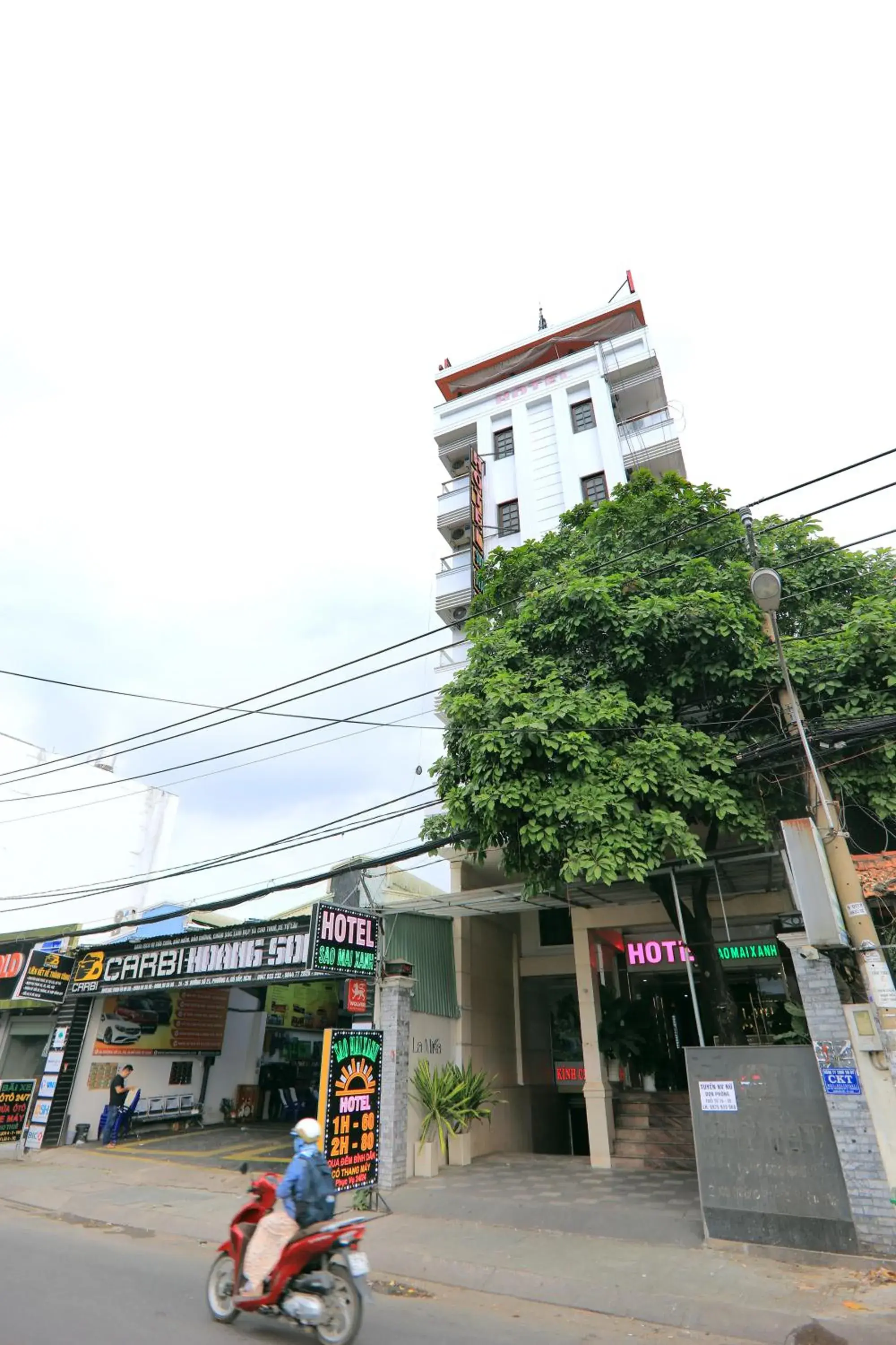 Property Building in Khach San Sao Mai Xanh