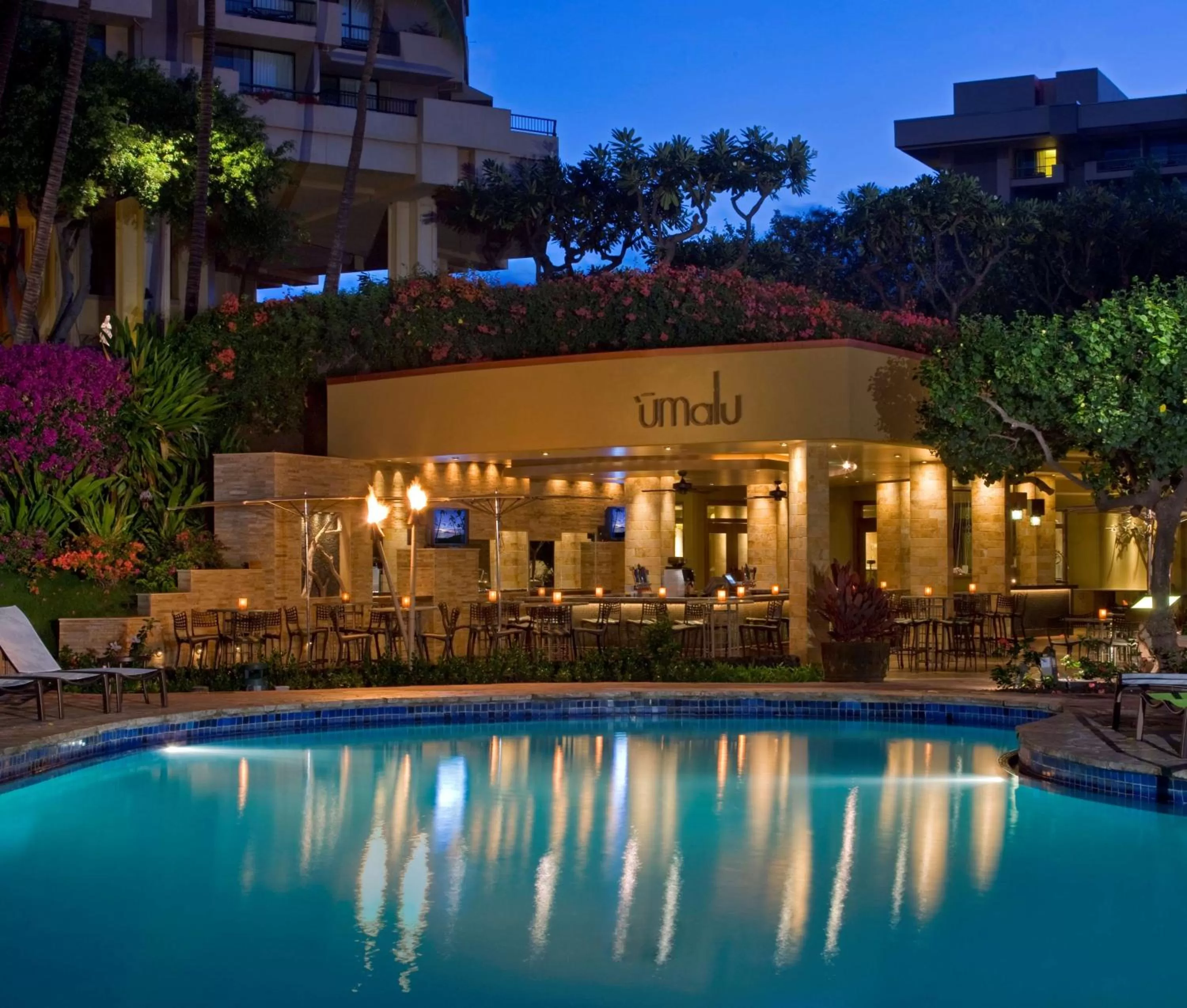 Activities in Hyatt Regency Maui Resort & Spa