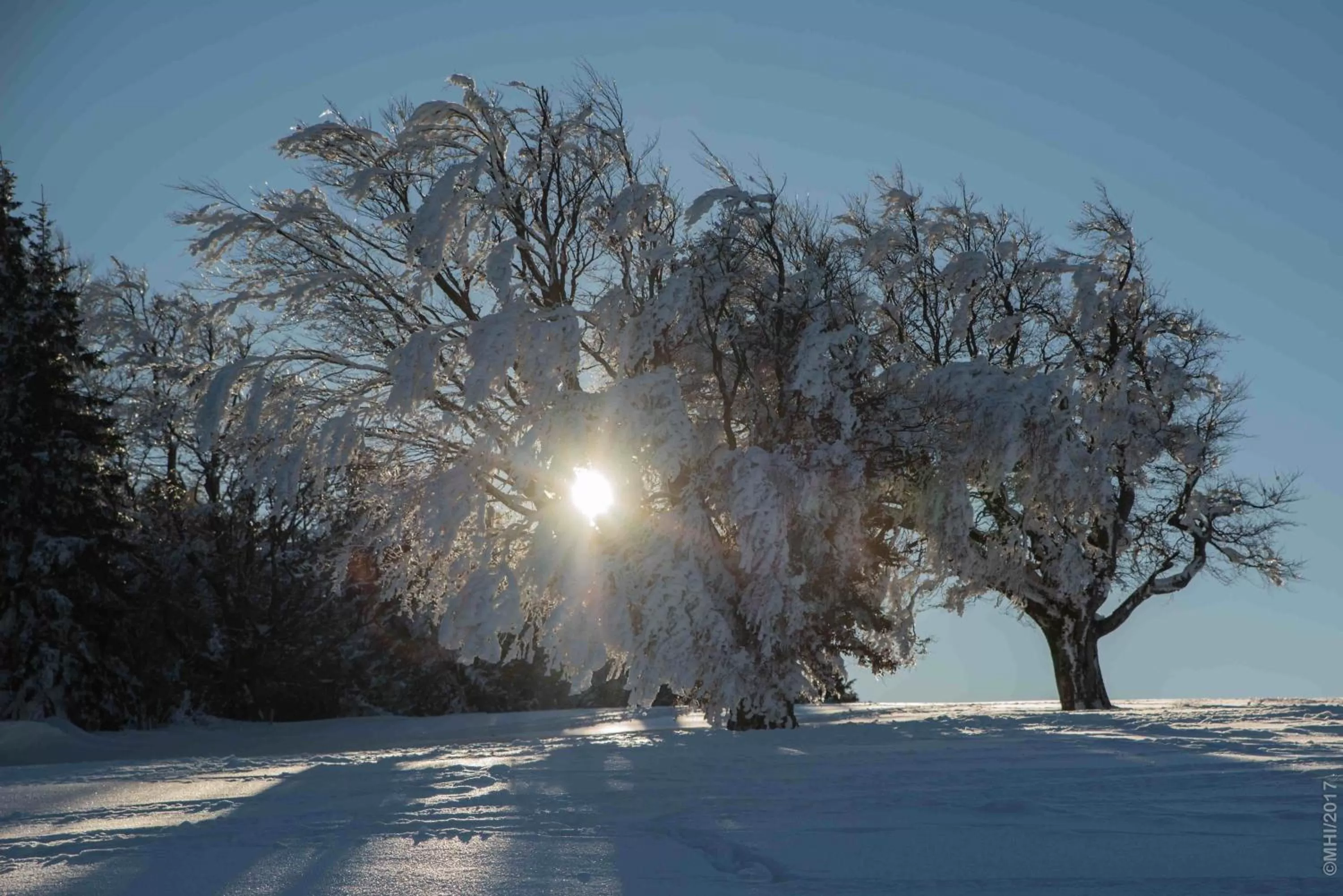 Natural landscape in ZUR TRAUBE Schwarzwaldhotel & Restaurant am Titisee