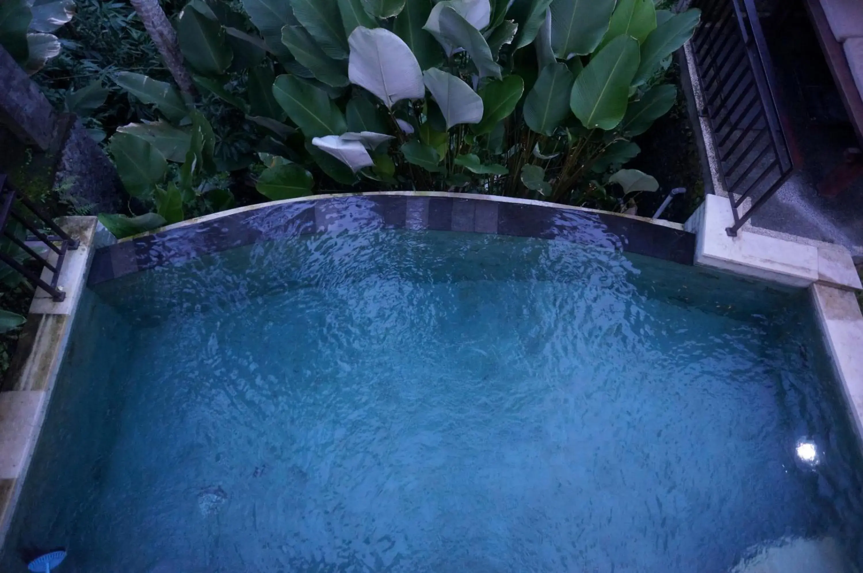 Pool view, Swimming Pool in Griya Shanti Villas & Spa