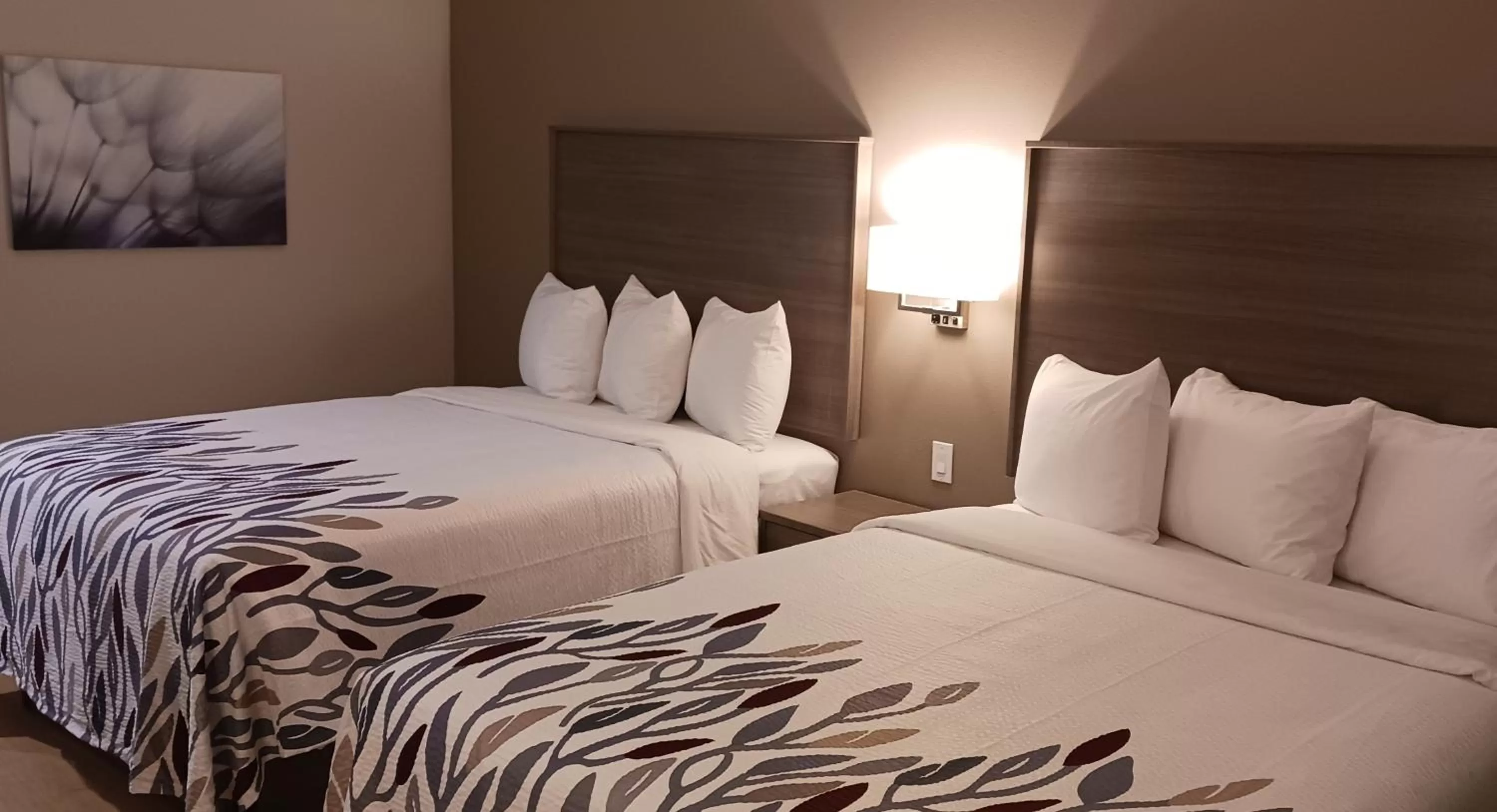 Deluxe Queen Room in Red Roof Inn Lancaster, TX