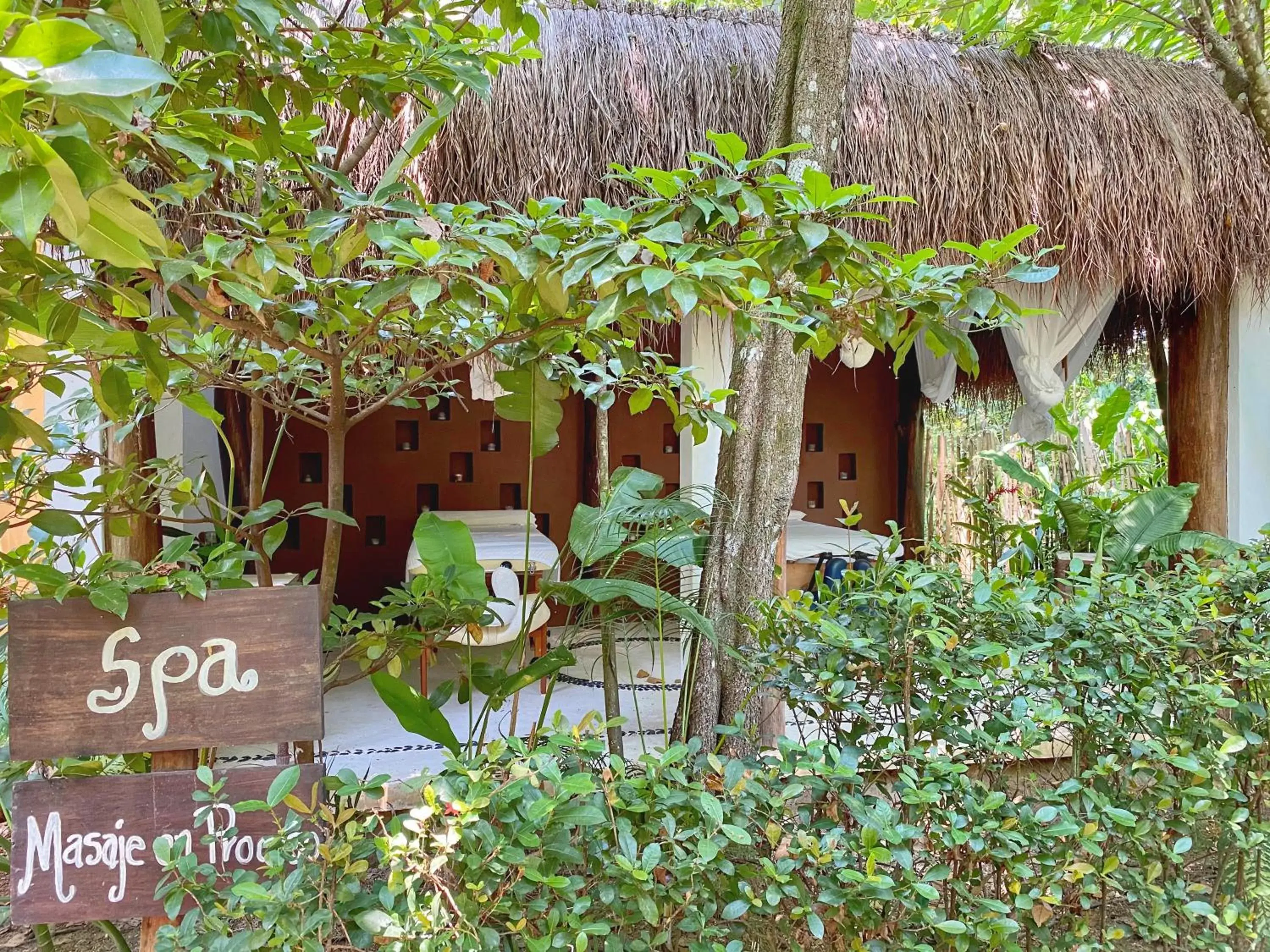 Massage in Piedra de Agua Palenque